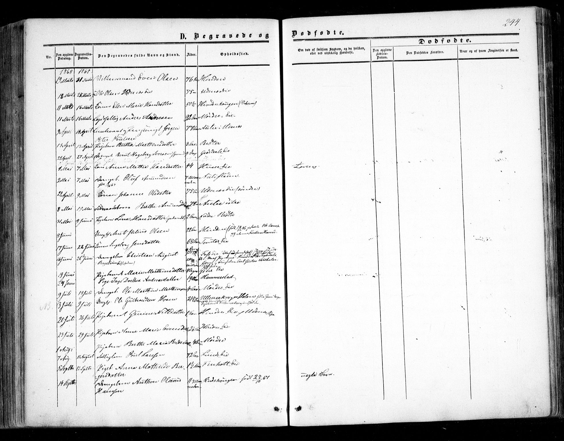 Nes prestekontor Kirkebøker, AV/SAO-A-10410/F/Fc/L0001: Parish register (official) no. III 1, 1859-1882, p. 244