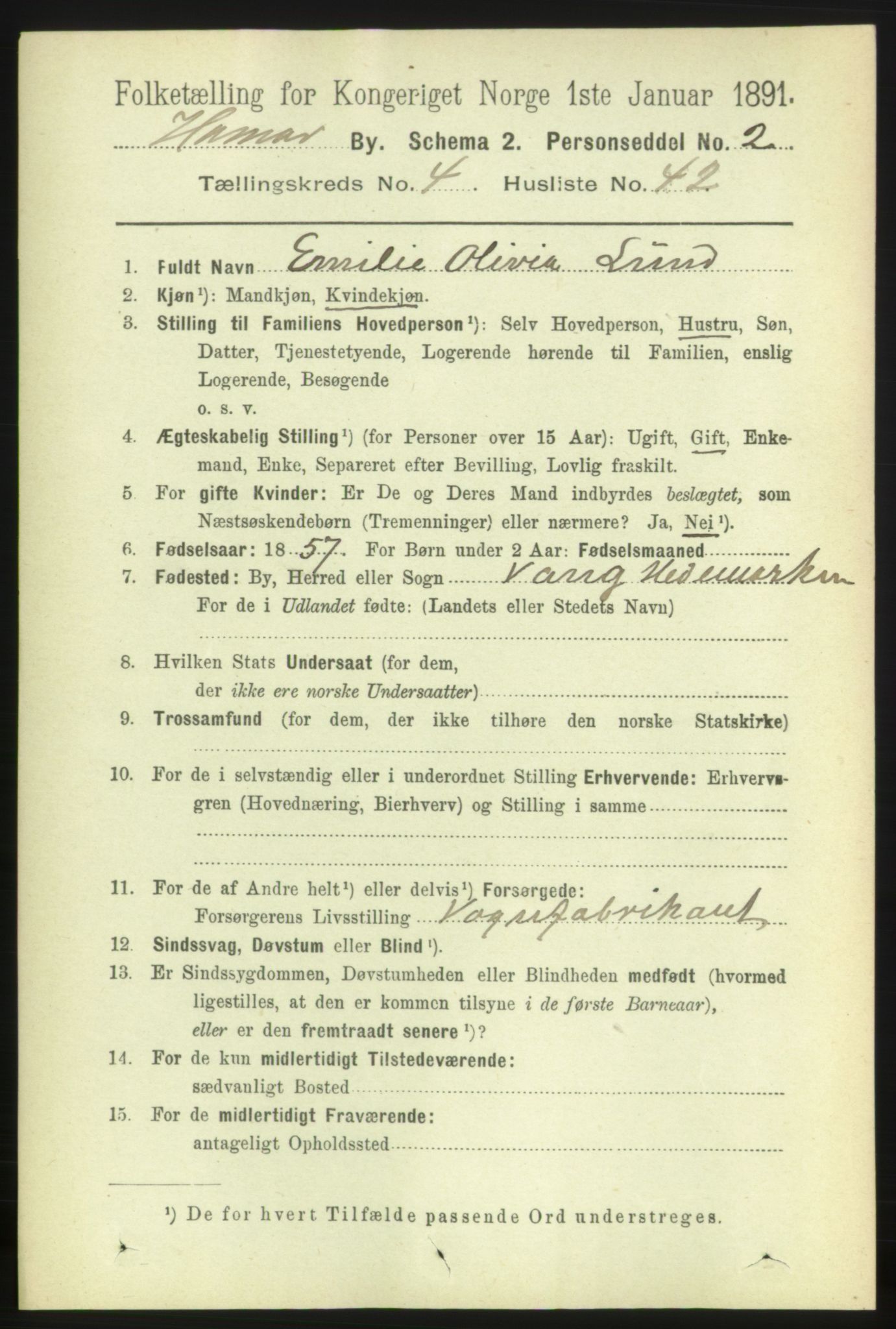 RA, 1891 census for 0401 Hamar, 1891, p. 3594