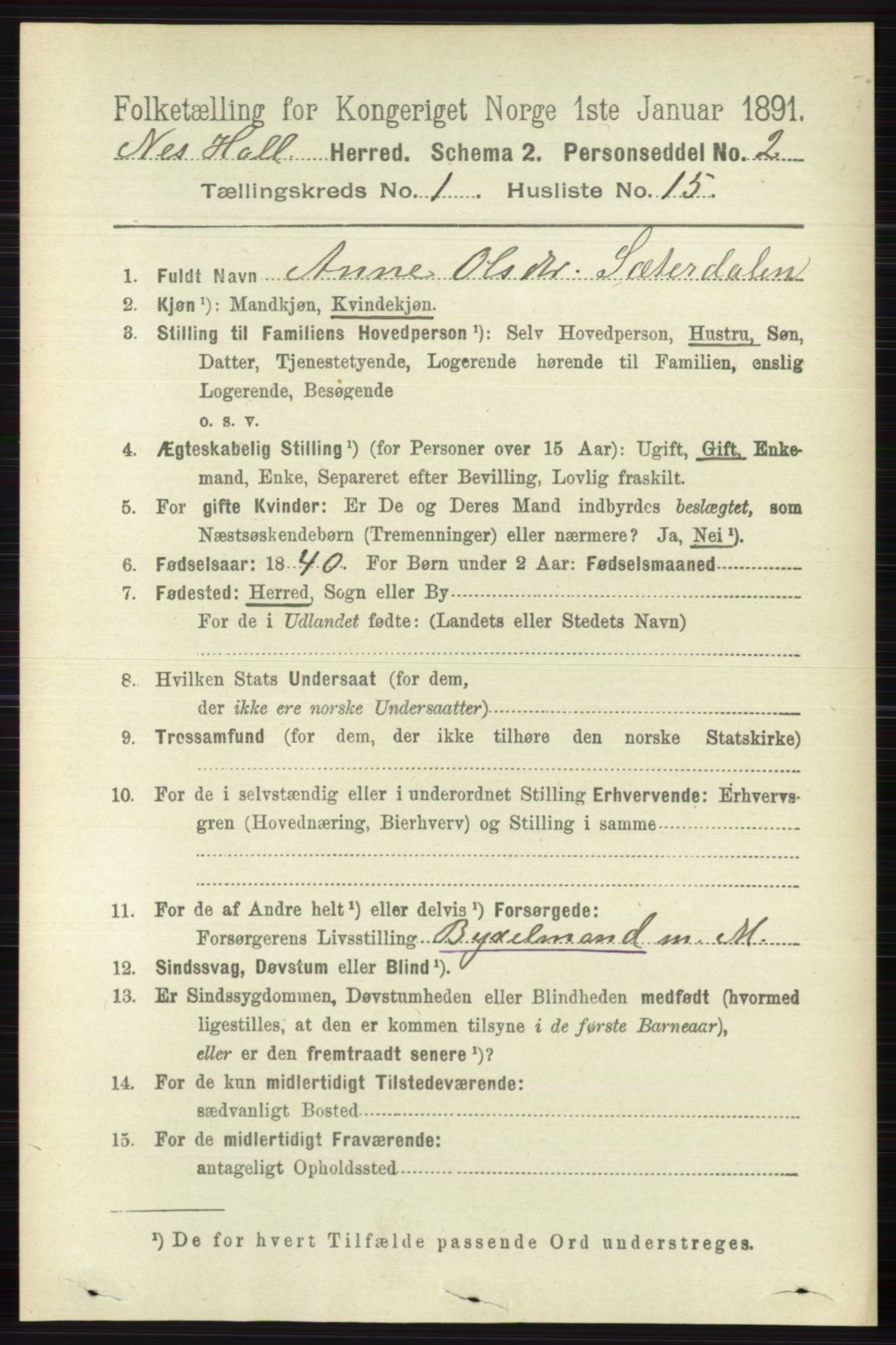 RA, 1891 census for 0616 Nes, 1891, p. 245