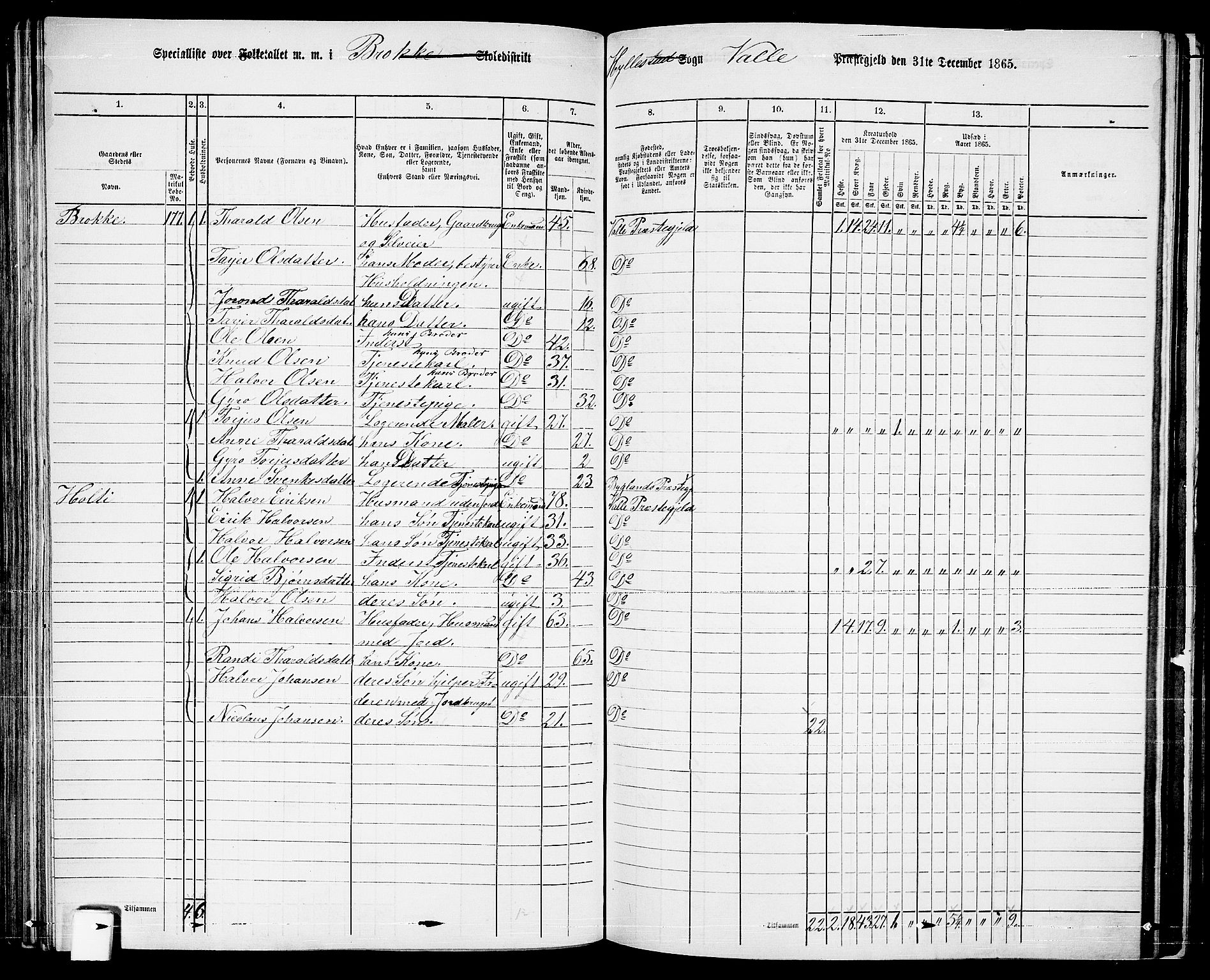 RA, 1865 census for Valle, 1865, p. 105