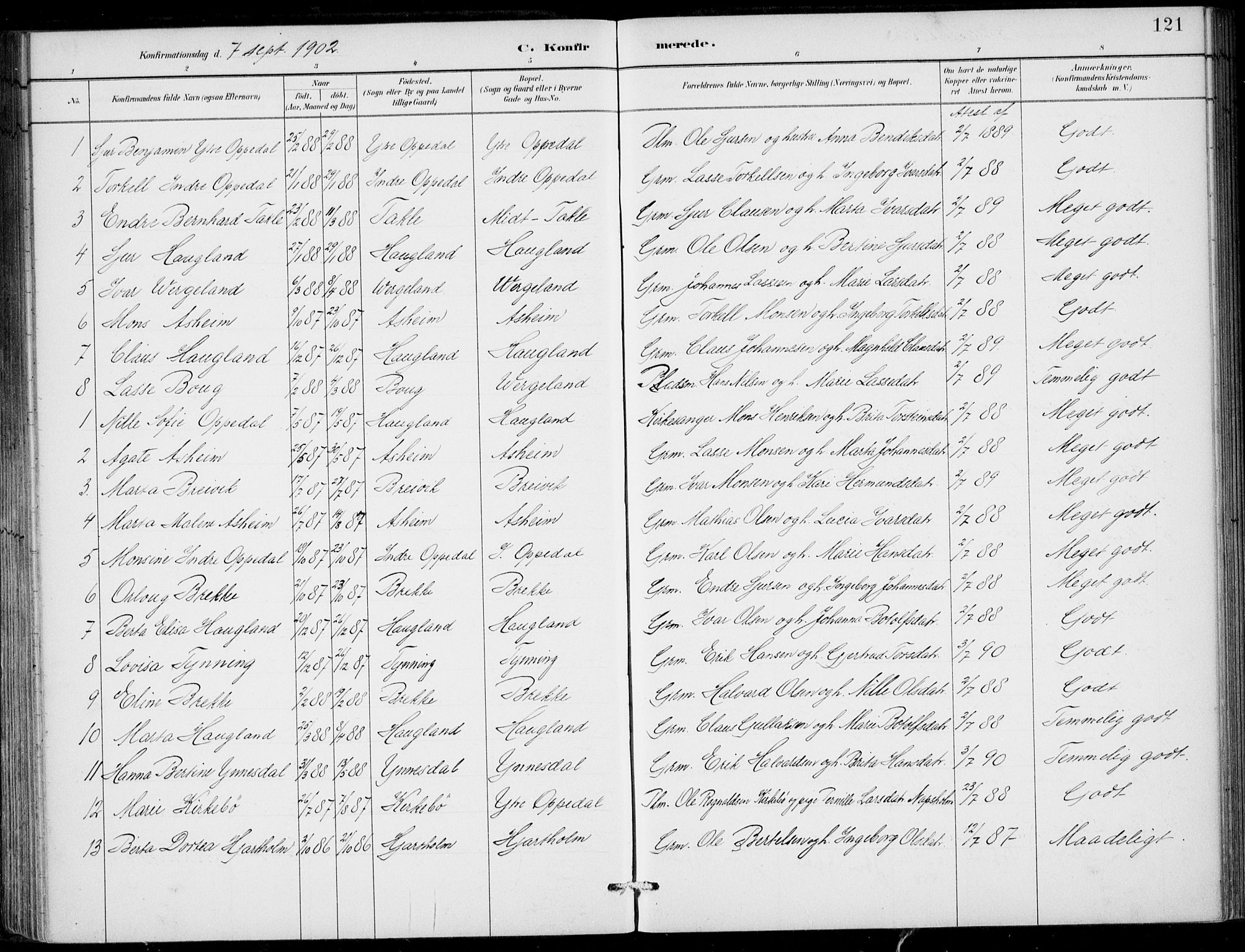 Gulen sokneprestembete, AV/SAB-A-80201/H/Haa/Haac/L0002: Parish register (official) no. C  2, 1882-1914, p. 121