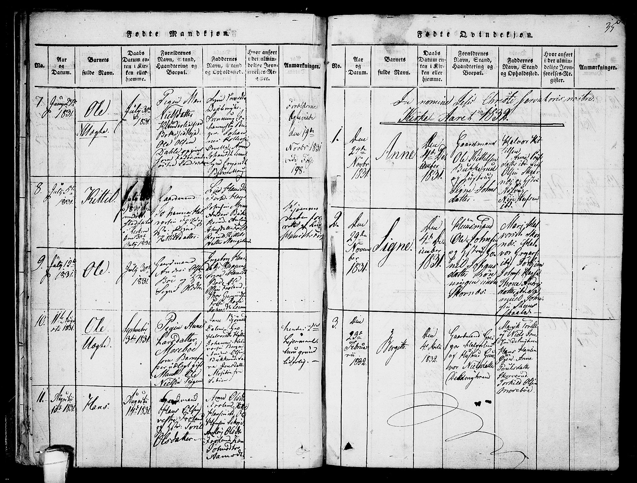 Hjartdal kirkebøker, AV/SAKO-A-270/F/Fb/L0001: Parish register (official) no. II 1, 1815-1843, p. 35