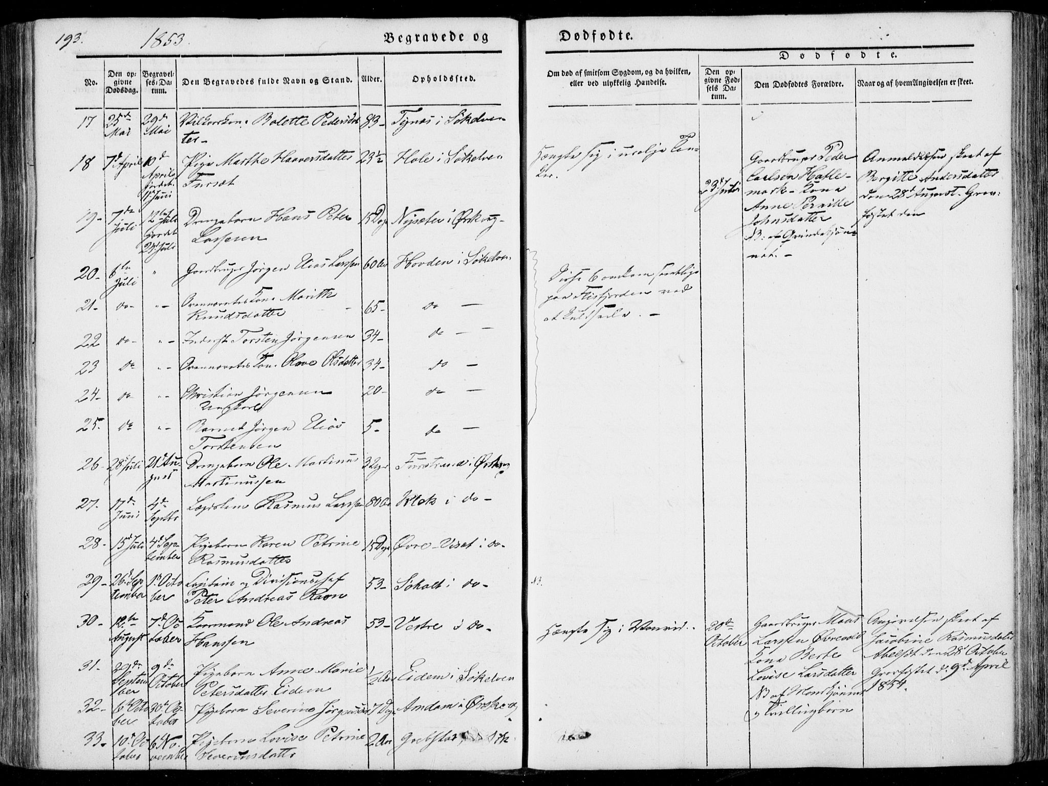 Ministerialprotokoller, klokkerbøker og fødselsregistre - Møre og Romsdal, AV/SAT-A-1454/522/L0313: Parish register (official) no. 522A08, 1852-1862, p. 193