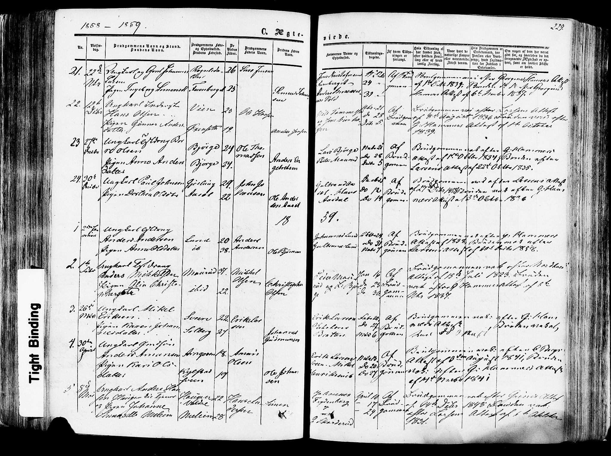 Vang prestekontor, Hedmark, SAH/PREST-008/H/Ha/Haa/L0013: Parish register (official) no. 13, 1855-1879, p. 229