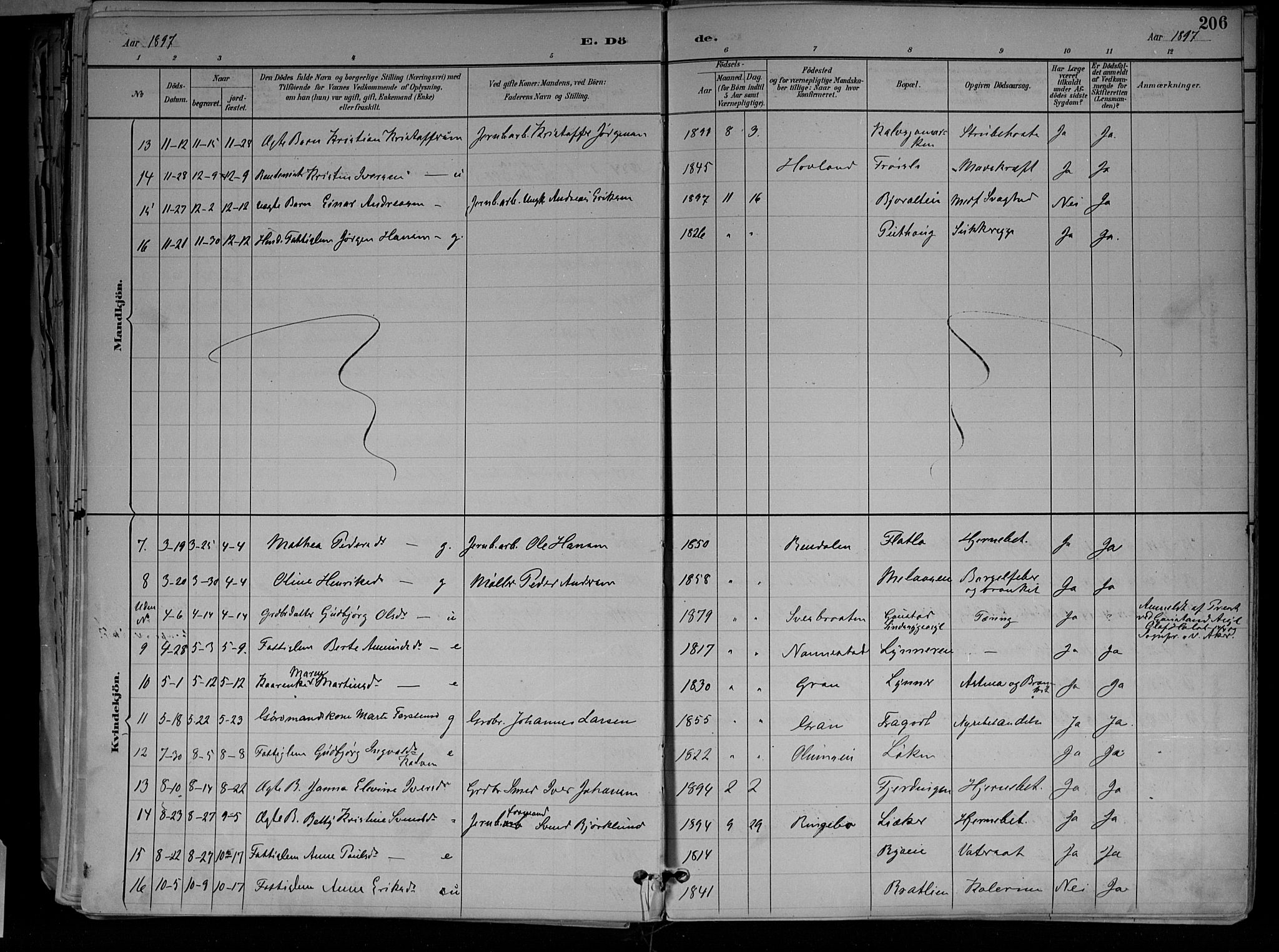 Jevnaker prestekontor, SAH/PREST-116/H/Ha/Haa/L0010: Parish register (official) no. 10, 1891-1906, p. 206