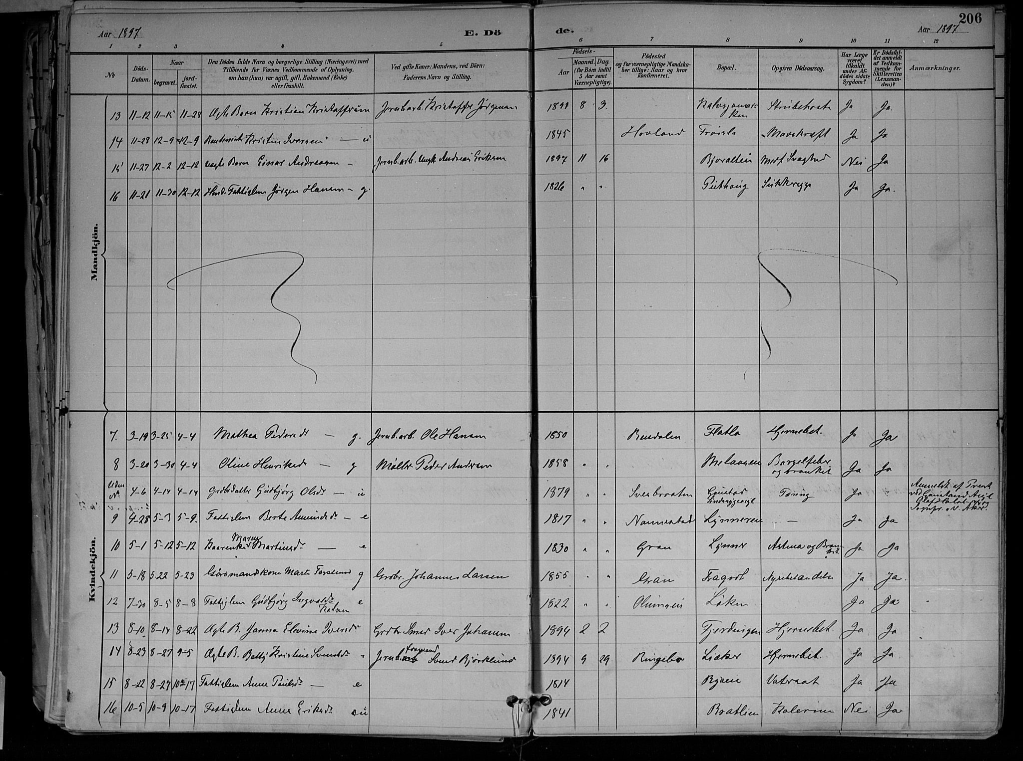 Jevnaker prestekontor, AV/SAH-PREST-116/H/Ha/Haa/L0010: Parish register (official) no. 10, 1891-1906, p. 206