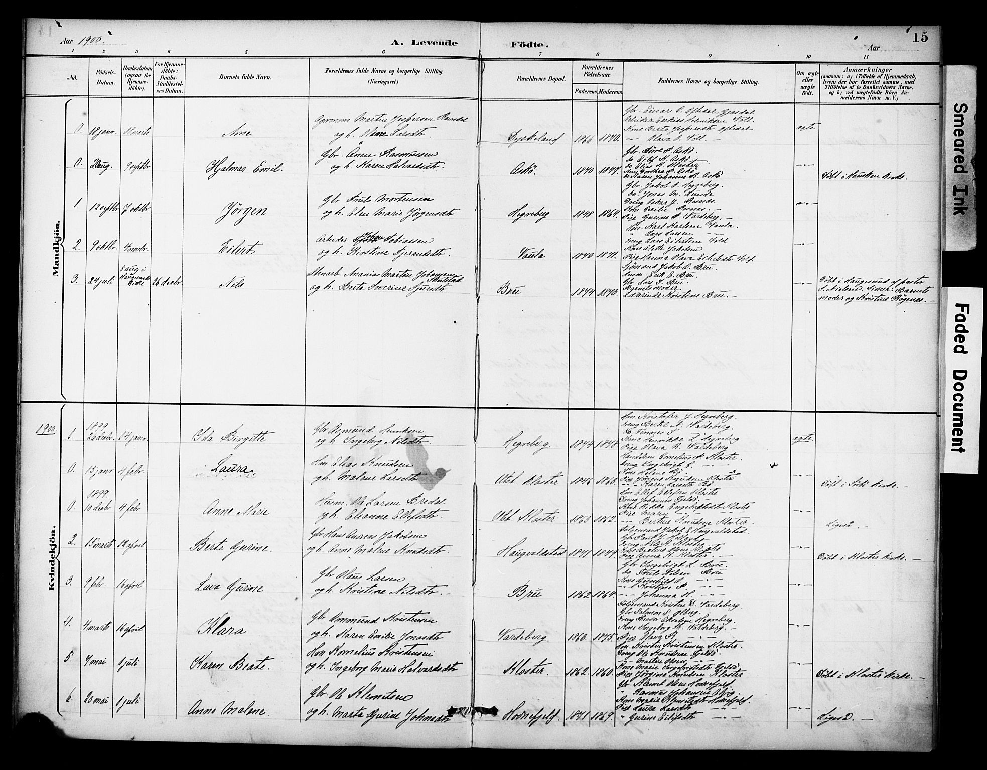 Rennesøy sokneprestkontor, AV/SAST-A -101827/H/Ha/Haa/L0015: Parish register (official) no. A 15, 1891-1908, p. 15