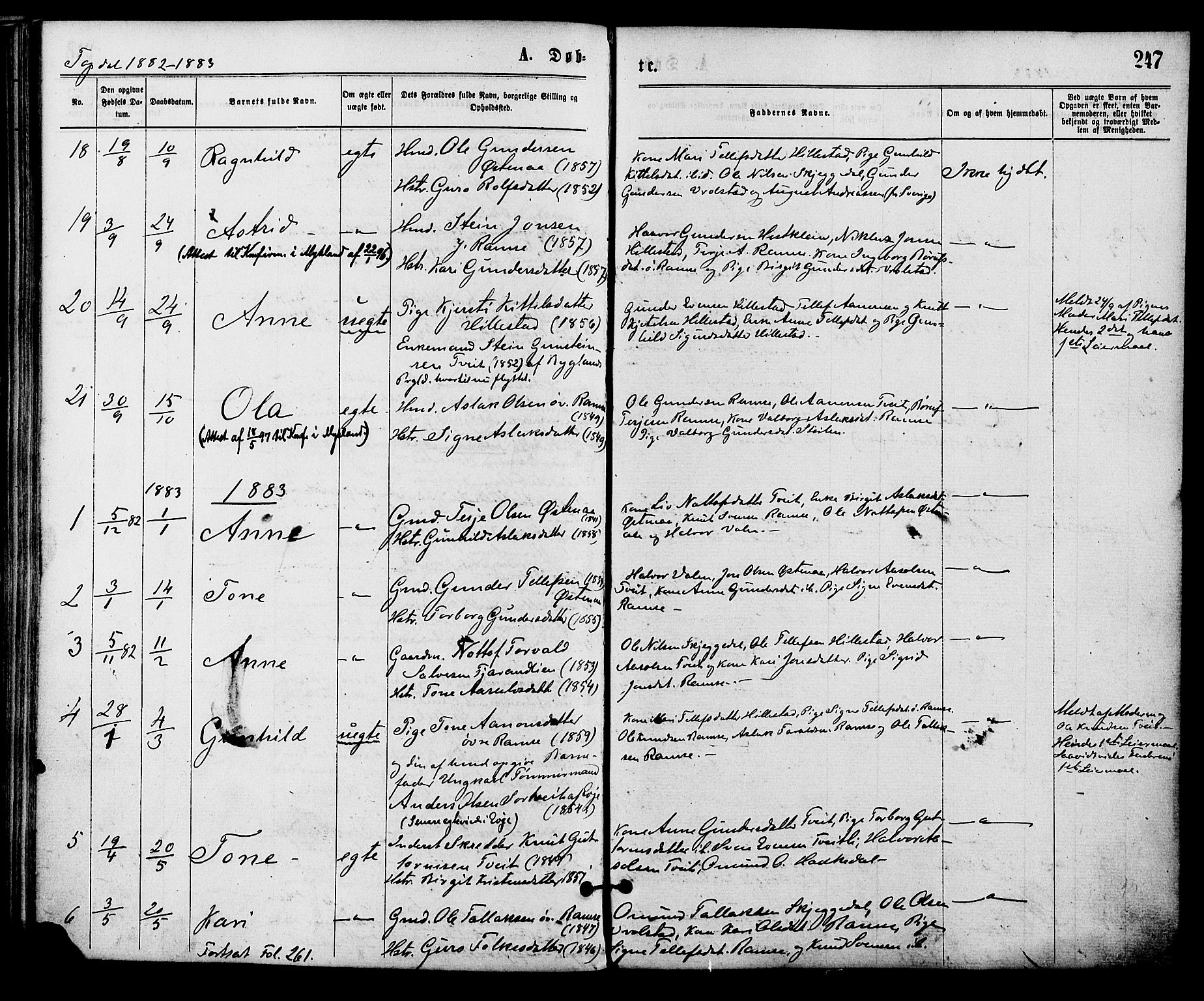 Åmli sokneprestkontor, SAK/1111-0050/F/Fa/Fac/L0009: Parish register (official) no. A 9 /3, 1869-1884, p. 247