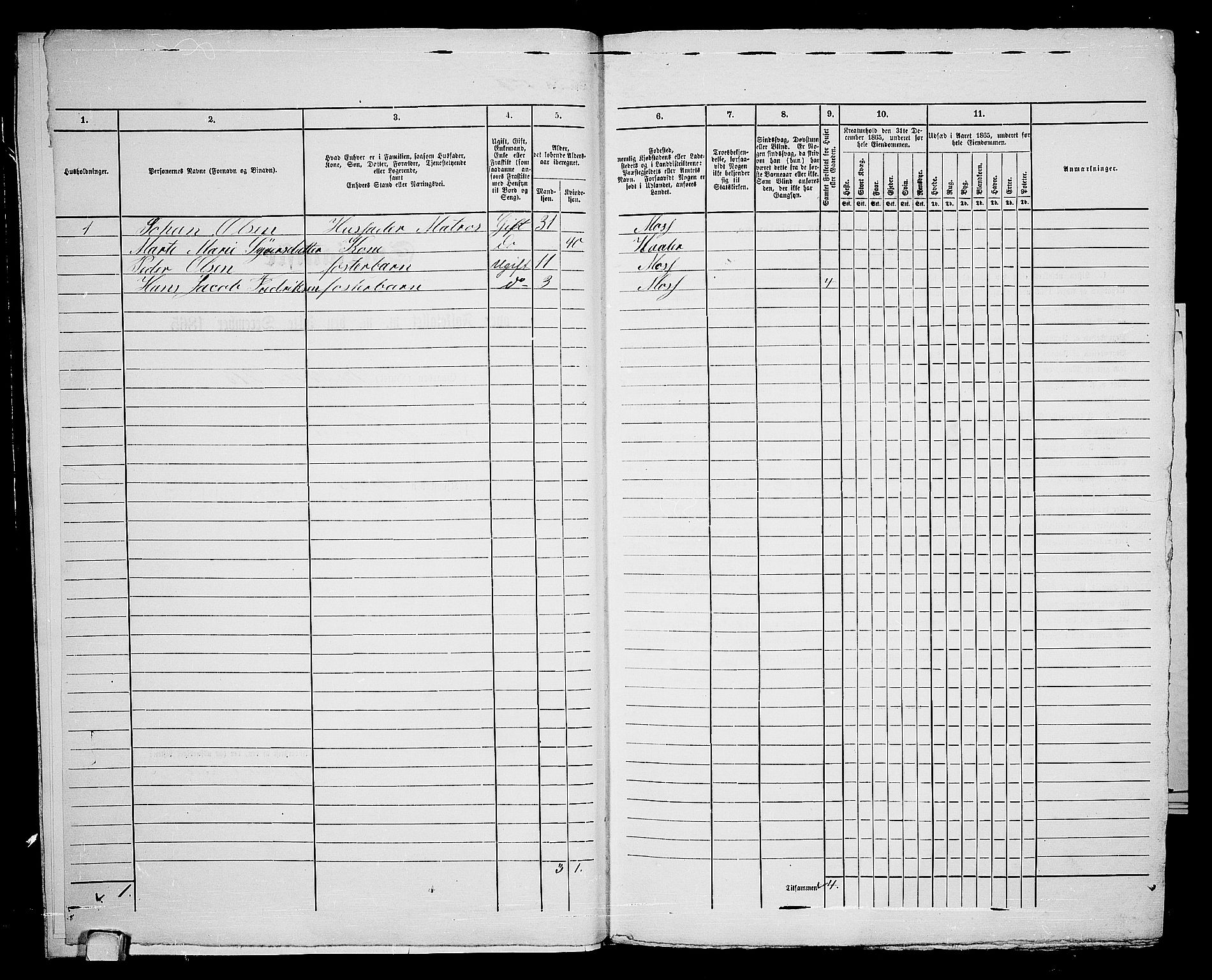 RA, 1865 census for Moss/Moss, 1865, p. 358