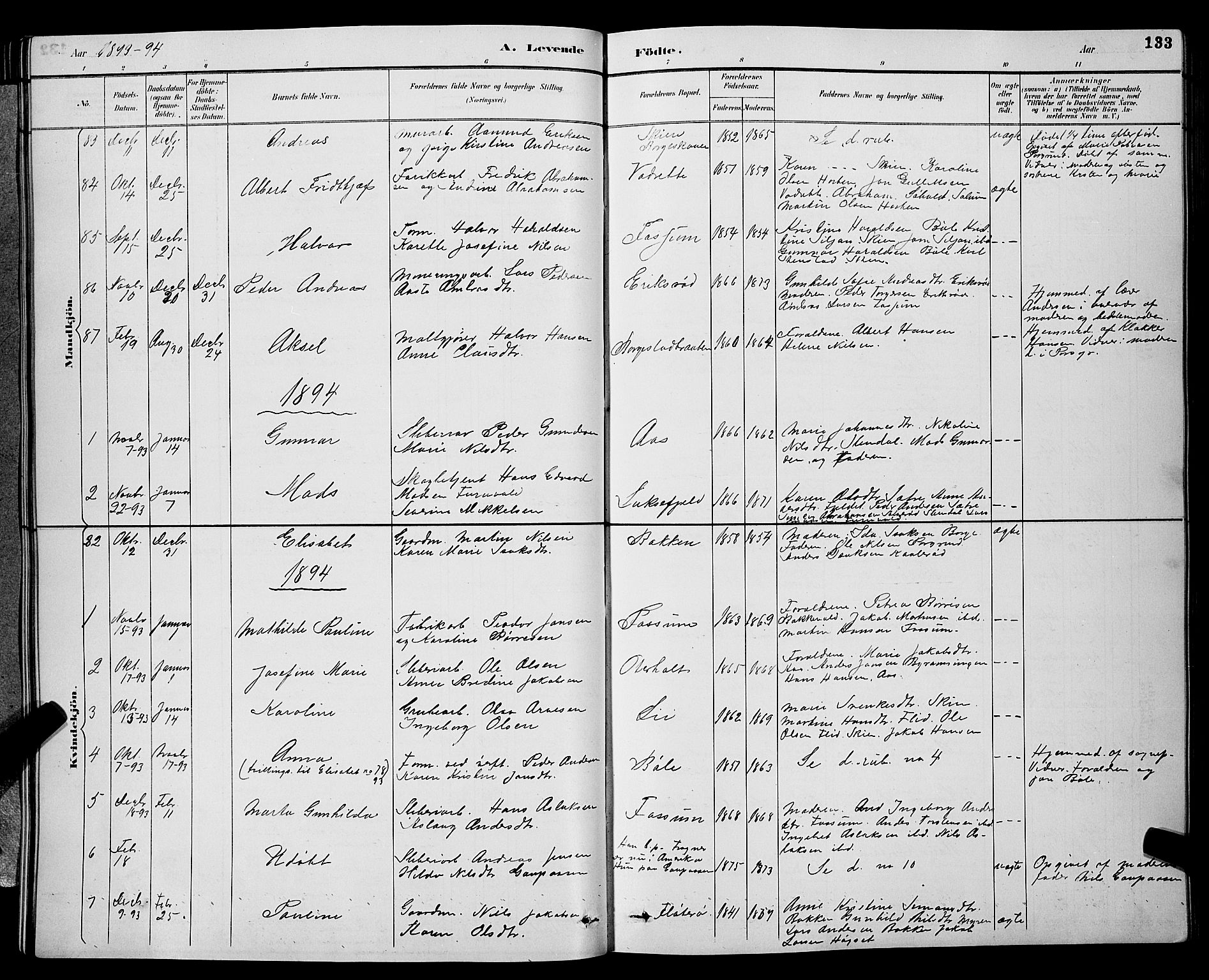 Gjerpen kirkebøker, SAKO/A-265/G/Ga/L0002: Parish register (copy) no. I 2, 1883-1900, p. 133