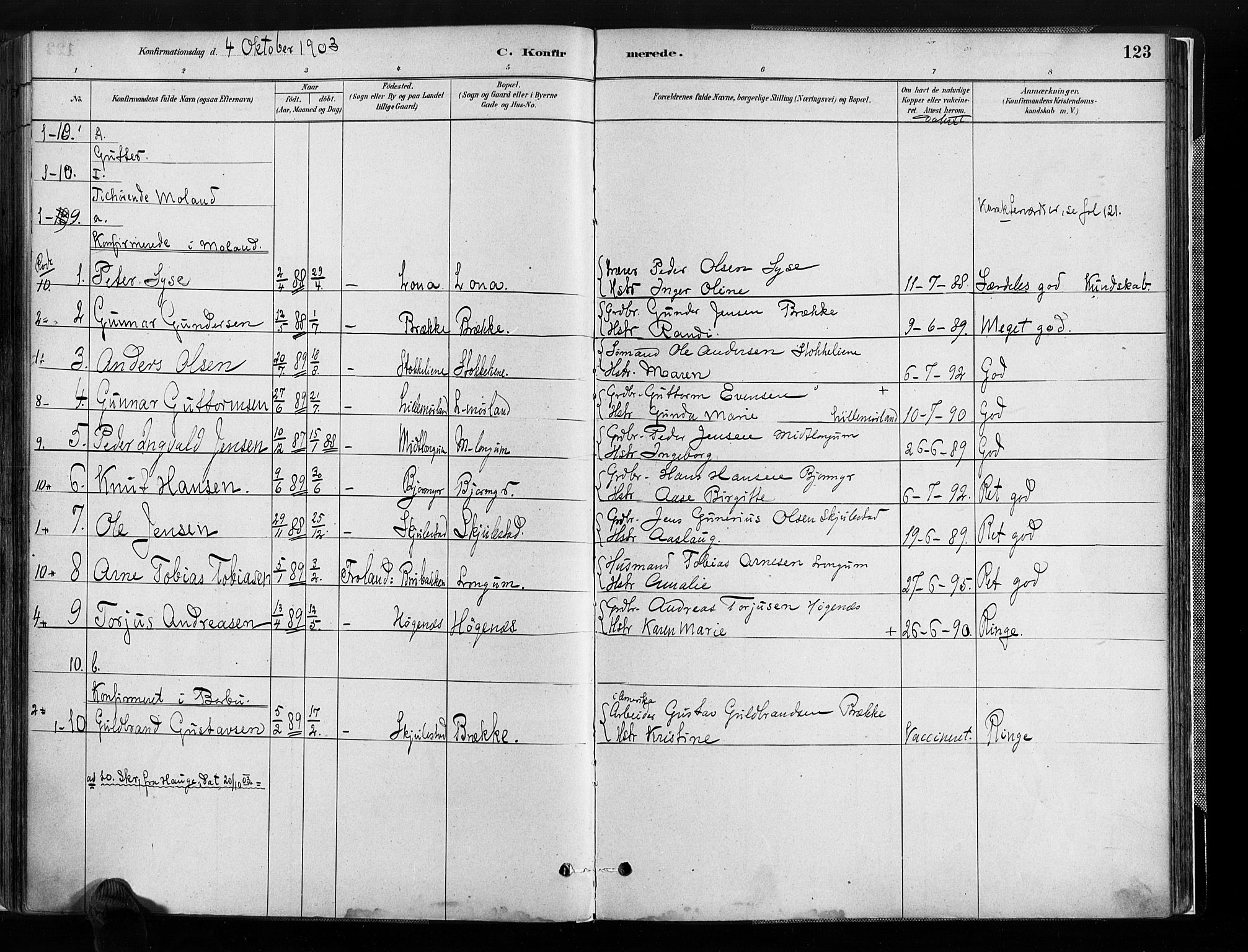 Austre Moland sokneprestkontor, SAK/1111-0001/F/Fa/Faa/L0010: Parish register (official) no. A 10, 1880-1904, p. 124