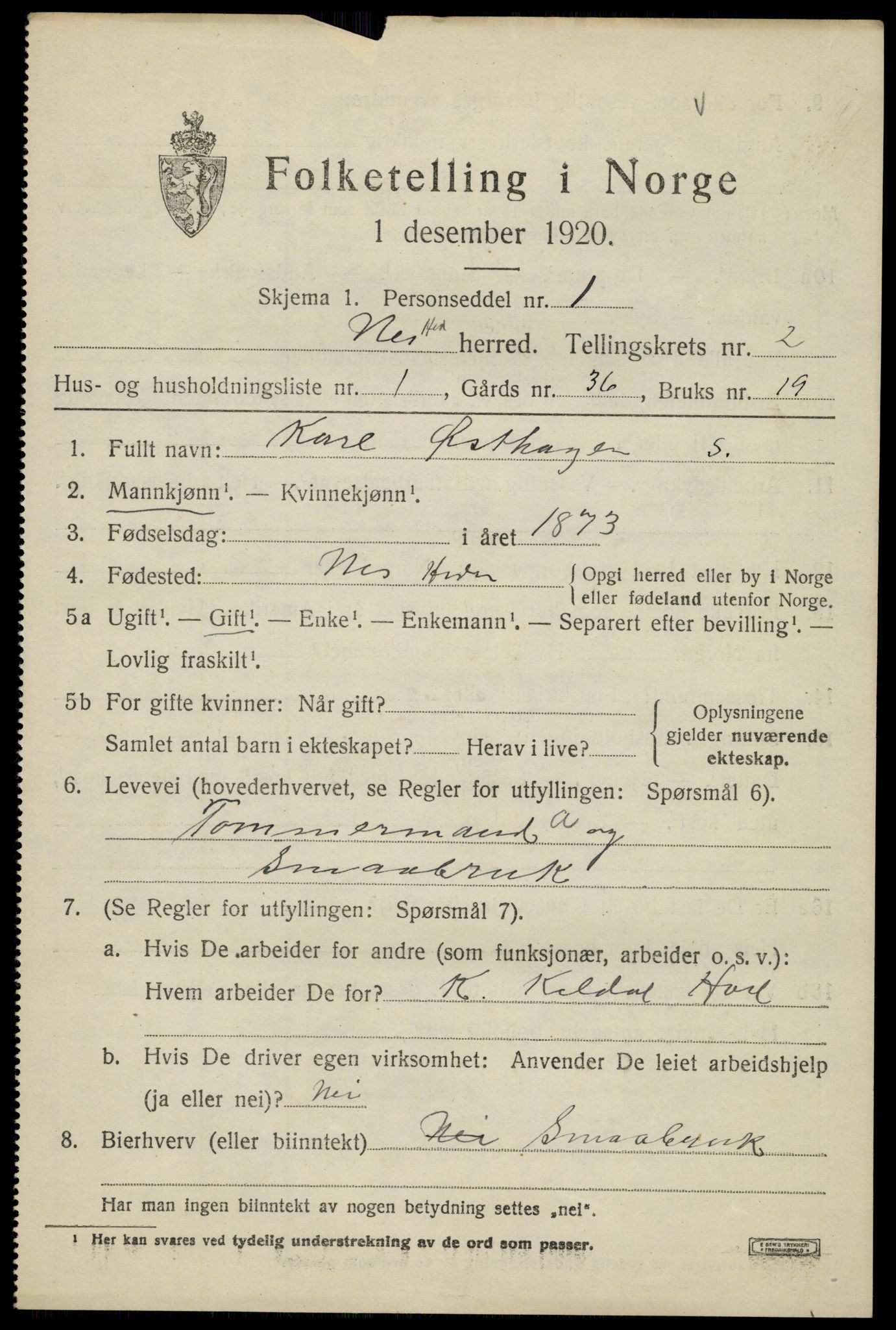 SAH, 1920 census for Nes (Hedmark), 1920, p. 2980