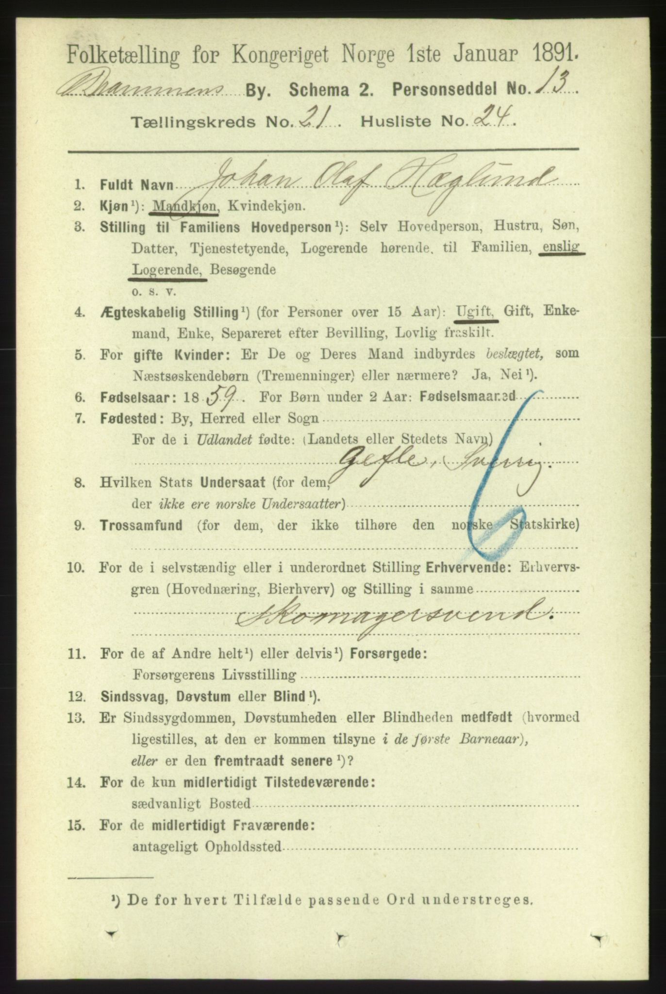 RA, 1891 census for 0602 Drammen, 1891, p. 13316