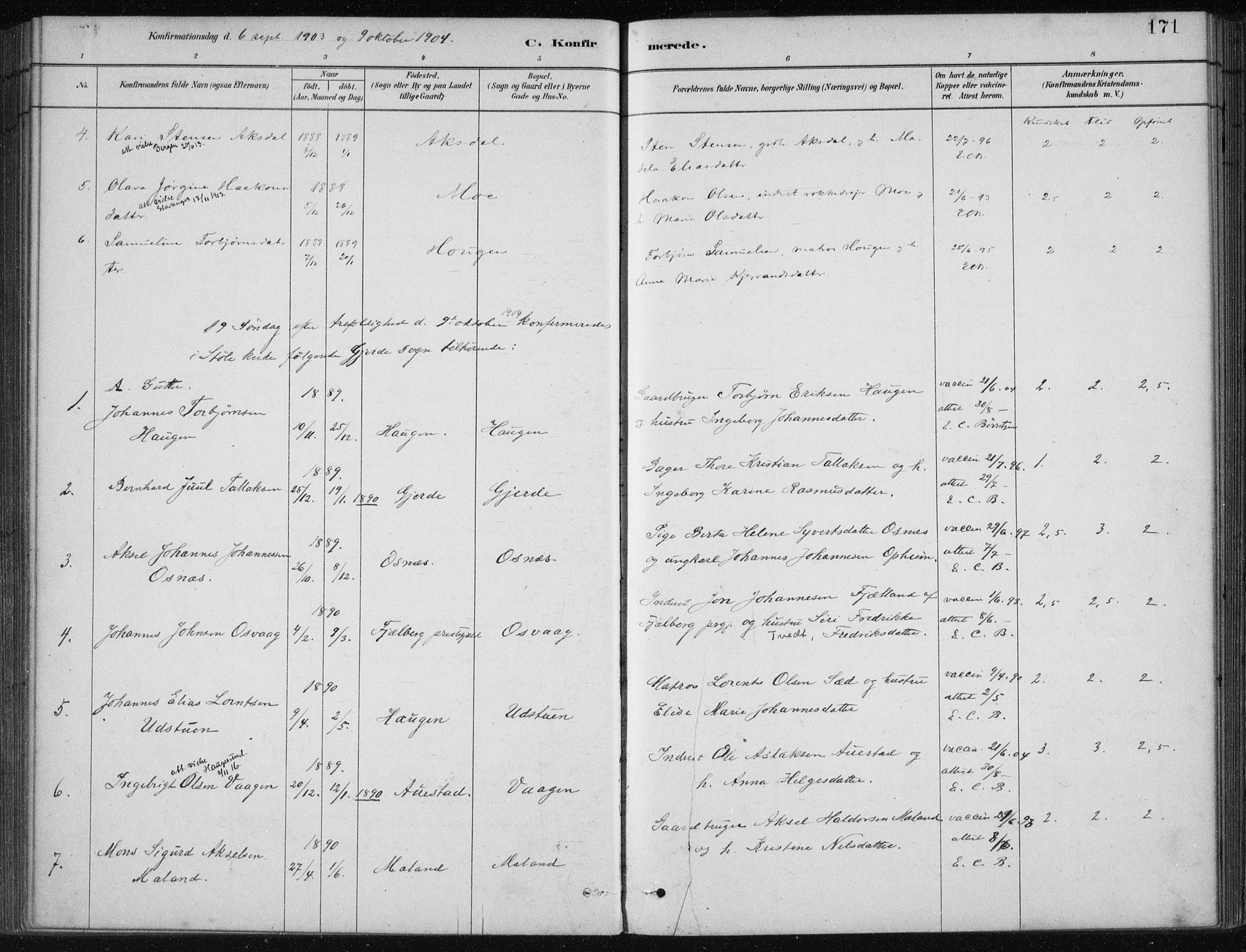 Etne sokneprestembete, AV/SAB-A-75001/H/Haa: Parish register (official) no. C  1, 1879-1919, p. 171