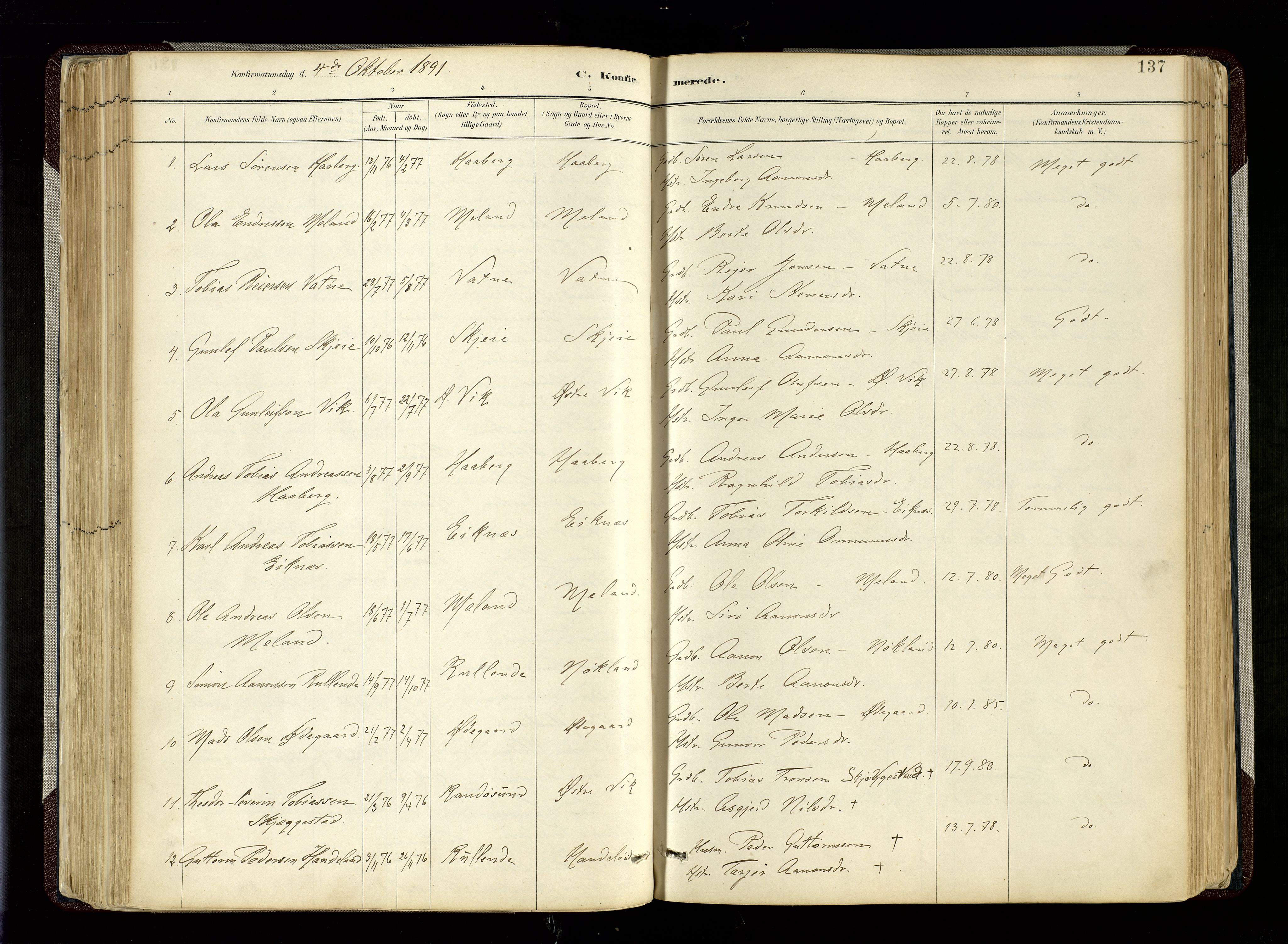 Hægebostad sokneprestkontor, SAK/1111-0024/F/Fa/Fab/L0004: Parish register (official) no. A 4, 1887-1929, p. 137
