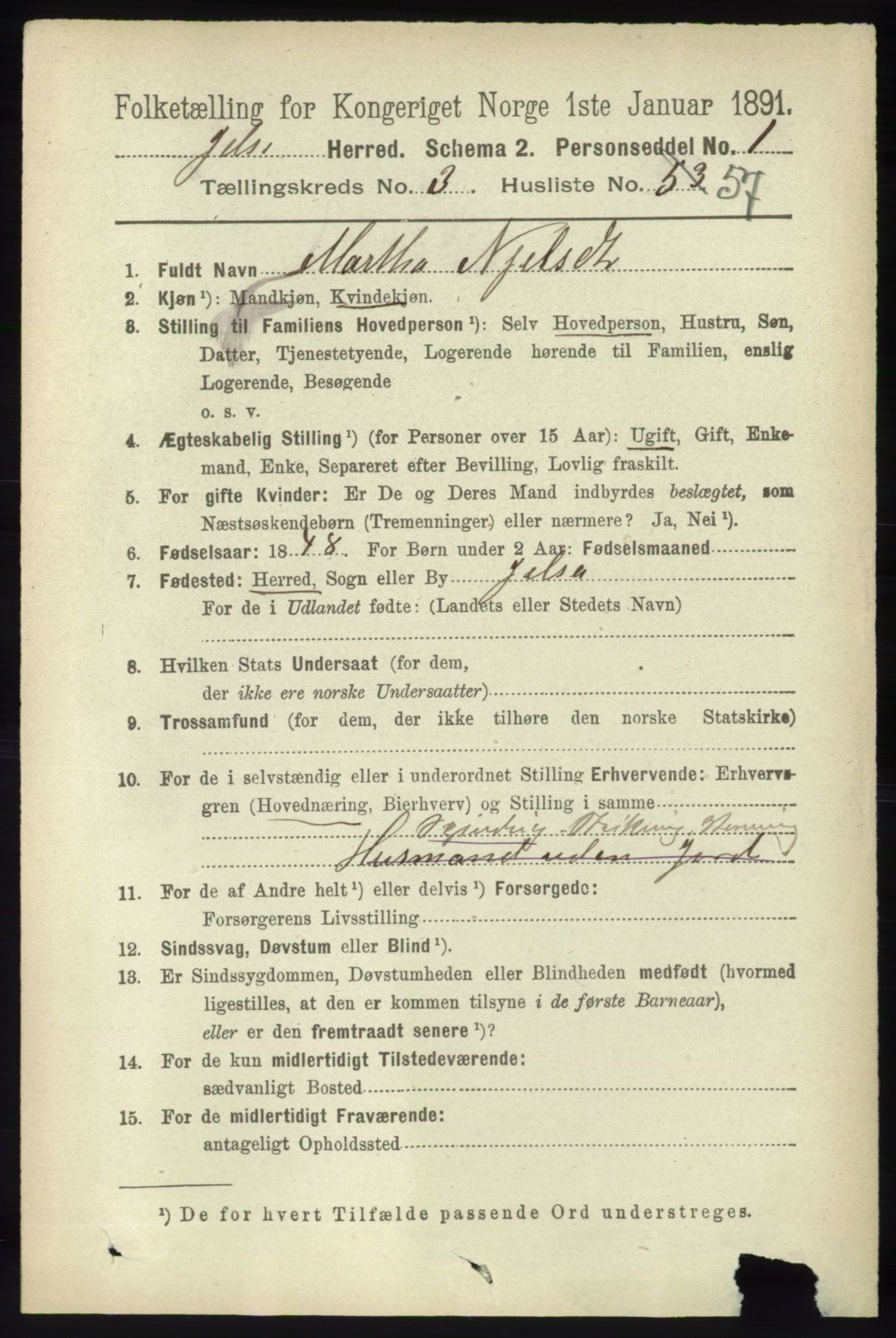 RA, 1891 census for 1138 Jelsa, 1891, p. 633