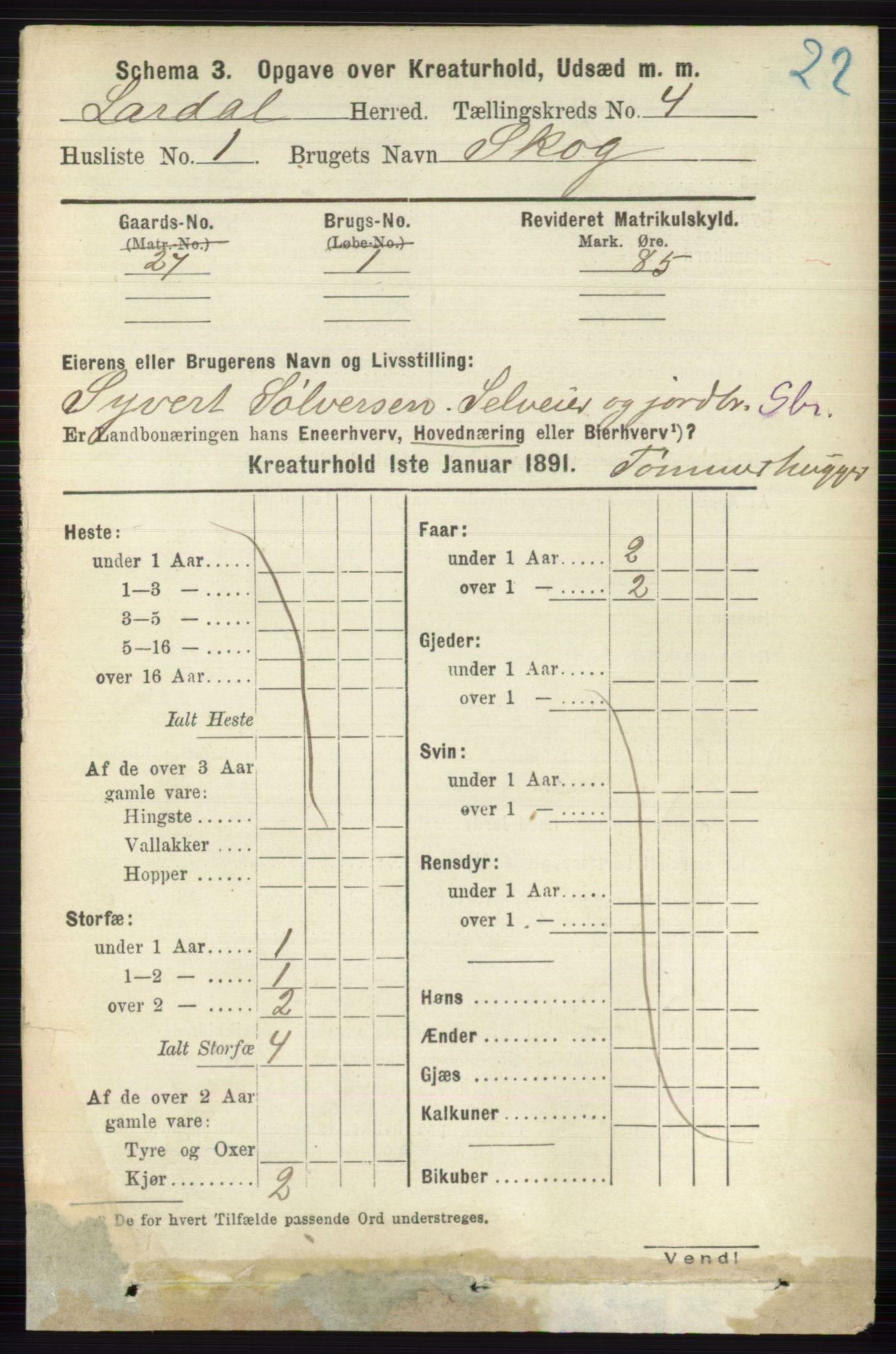 RA, 1891 census for 0728 Lardal, 1891, p. 3801