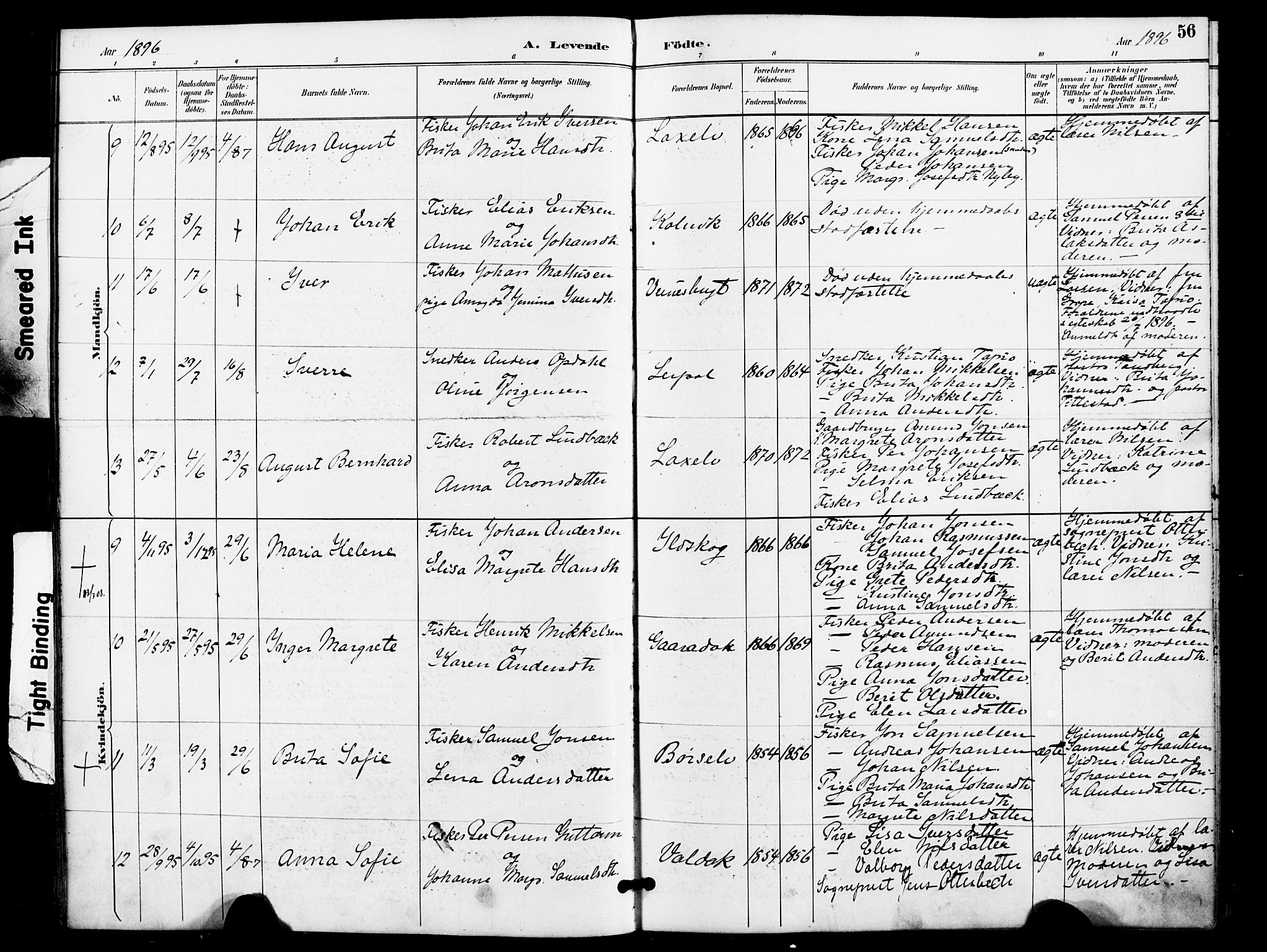 Kistrand/Porsanger sokneprestembete, AV/SATØ-S-1351/H/Ha/L0008.kirke: Parish register (official) no. 8, 1890-1898, p. 56