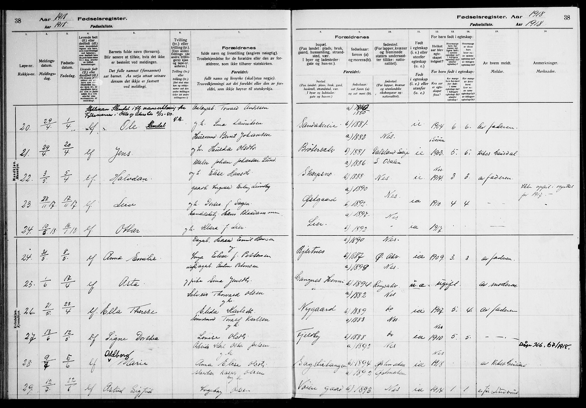 Nes prestekontor Kirkebøker, AV/SAO-A-10410/J/Ja/L0001: Birth register no. 1, 1916-1926, p. 38