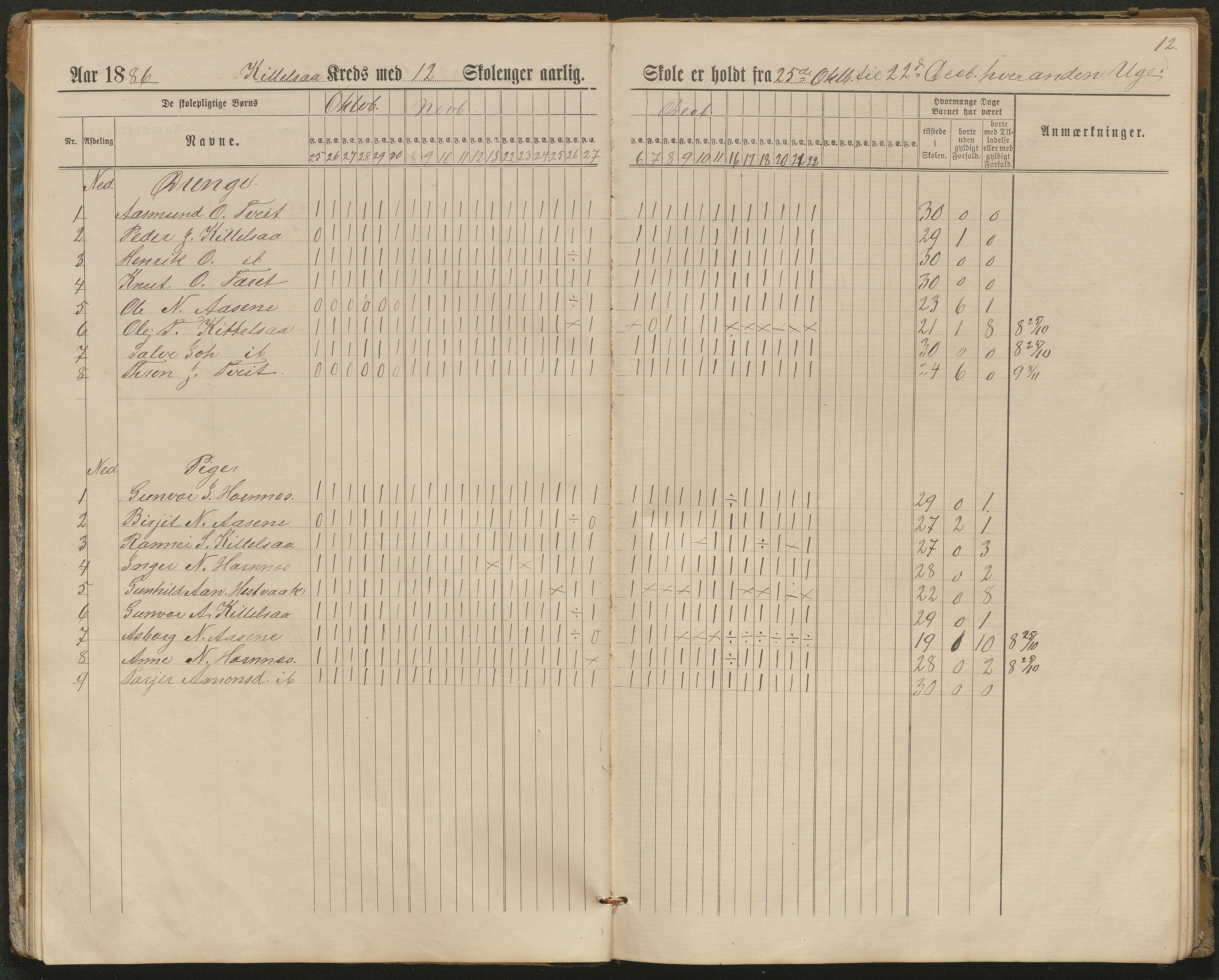 Hornnes kommune, Kjetså, Fennefoss skolekrets, AAKS/KA0936-550c/F1/L0002: Skoleprotokoll. Kjetså og Fennefoss, 1884-1896, p. 12