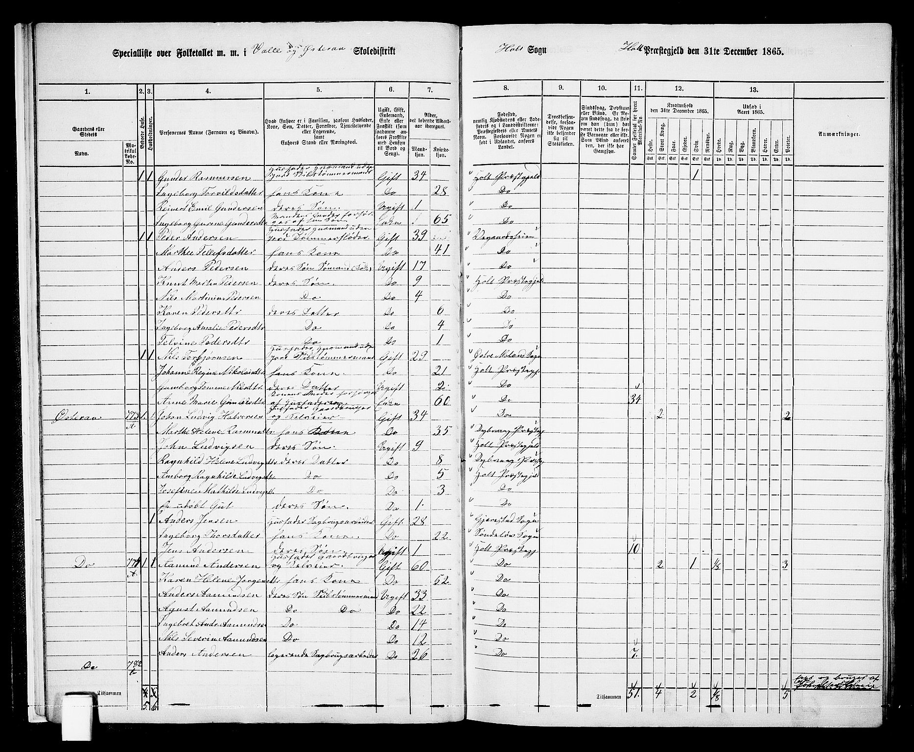 RA, 1865 census for Holt/Holt, 1865, p. 15