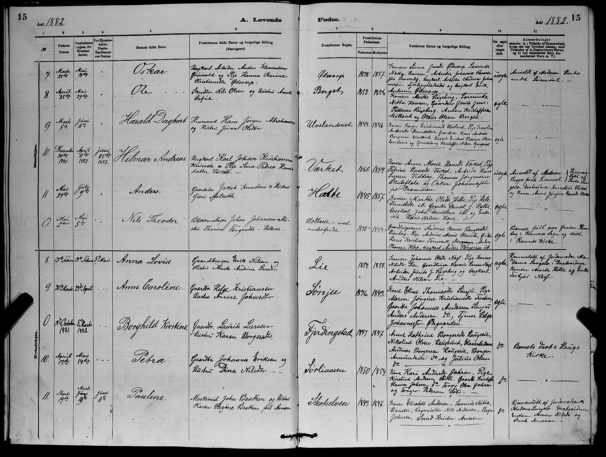 Eiker kirkebøker, AV/SAKO-A-4/G/Gb/L0003: Parish register (copy) no. II 3, 1880-1893, p. 15