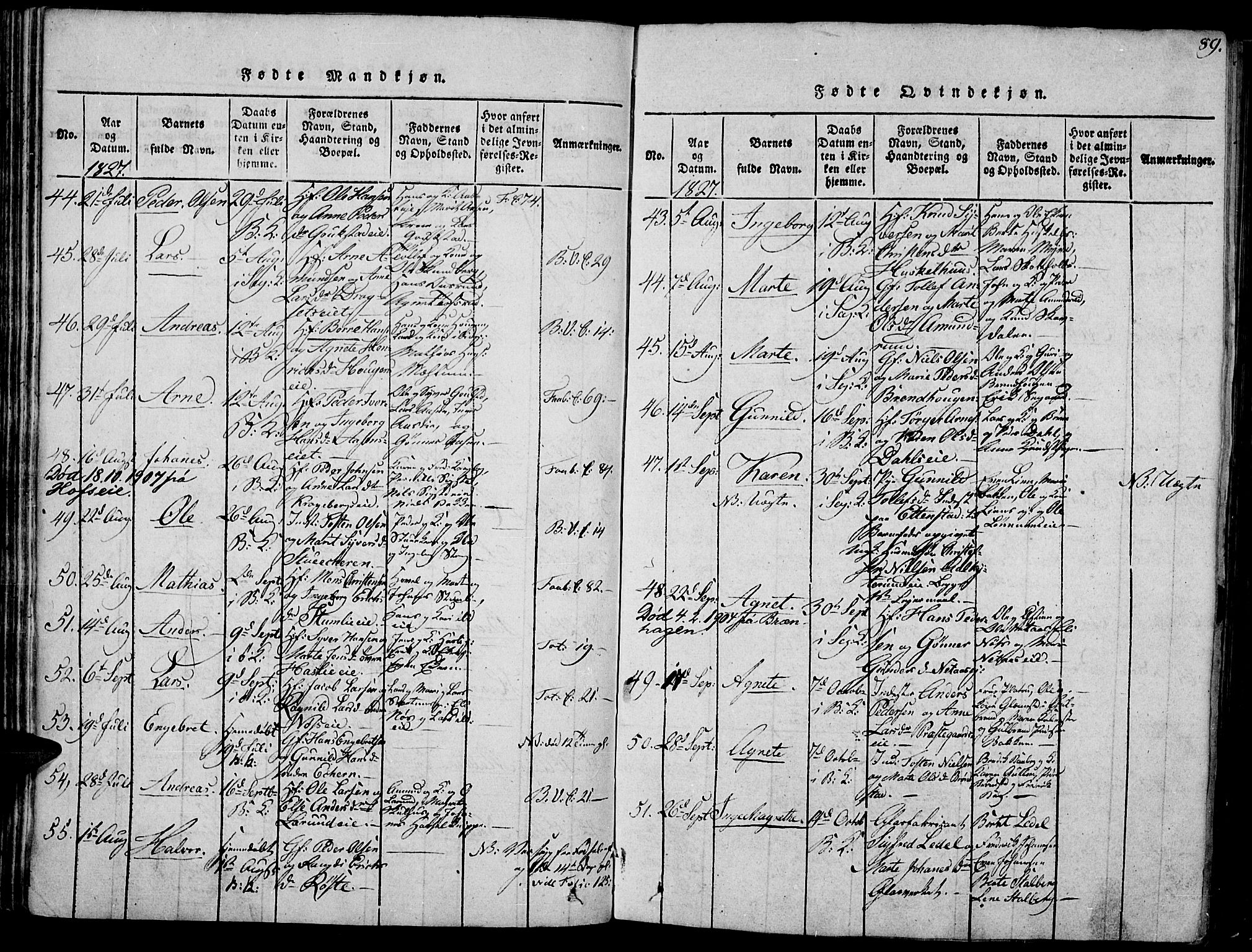 Biri prestekontor, SAH/PREST-096/H/Ha/Haa/L0003: Parish register (official) no. 3, 1814-1828, p. 89