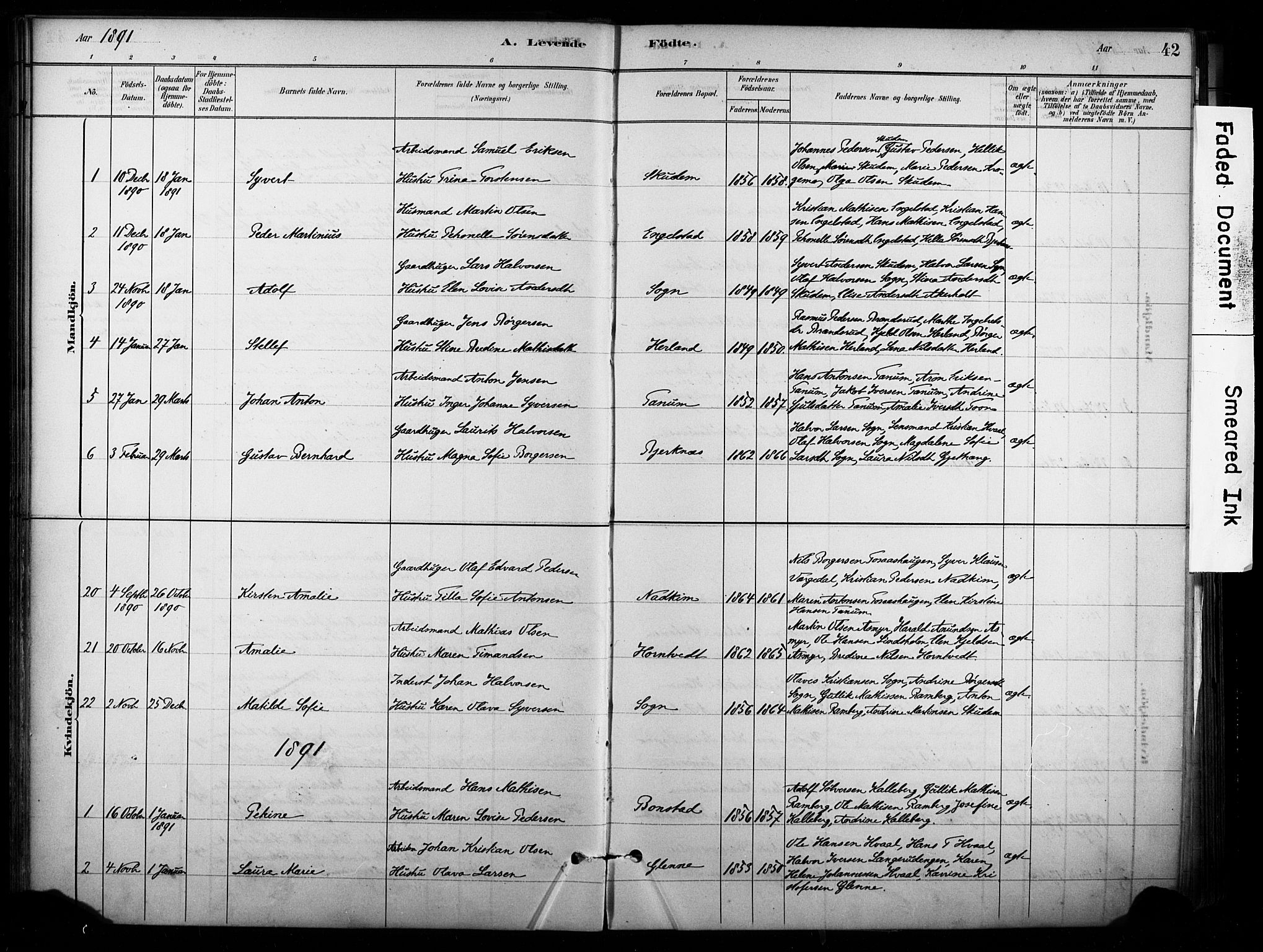 Lardal kirkebøker, AV/SAKO-A-350/F/Fb/L0001: Parish register (official) no. II 1, 1881-1911, p. 42