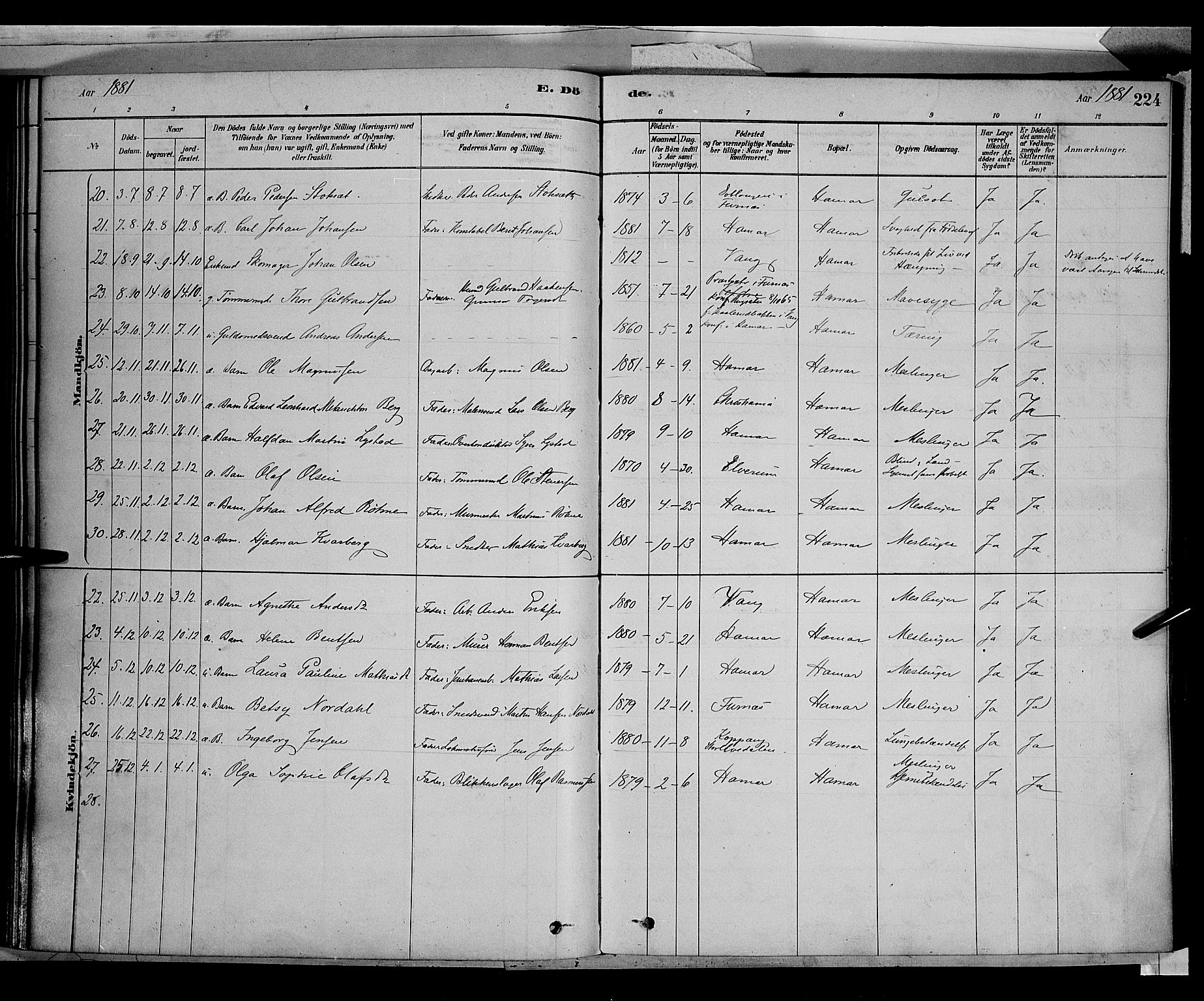 Vang prestekontor, Hedmark, AV/SAH-PREST-008/H/Ha/Haa/L0016: Parish register (official) no. 16, 1878-1889, p. 224