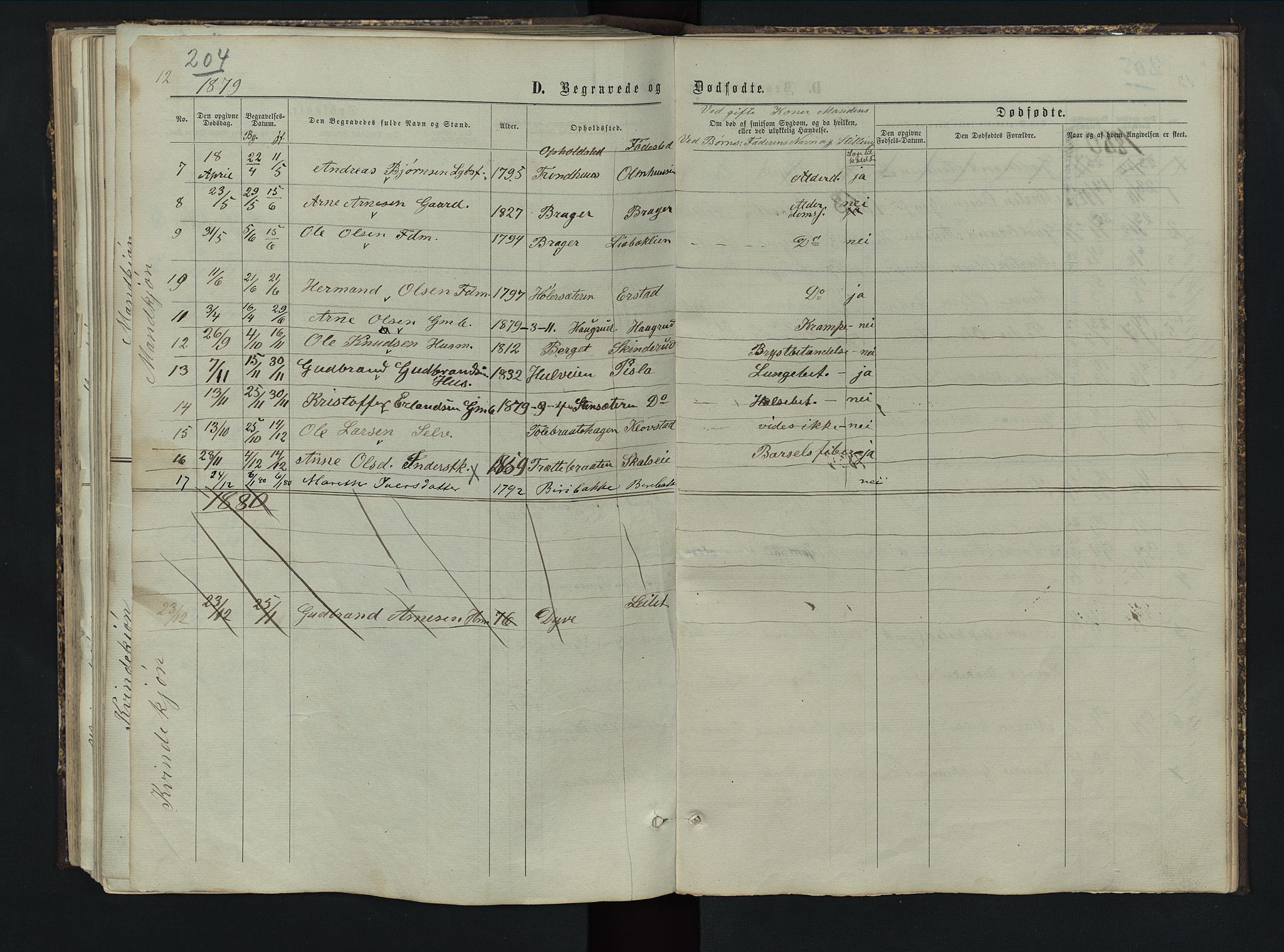 Sør-Aurdal prestekontor, SAH/PREST-128/H/Ha/Hab/L0005: Parish register (copy) no. 5, 1866-1893, p. 204