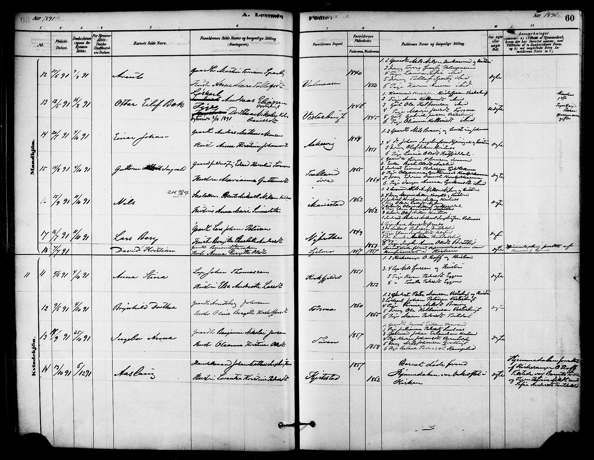 Ministerialprotokoller, klokkerbøker og fødselsregistre - Nordland, AV/SAT-A-1459/823/L0325: Parish register (official) no. 823A02, 1878-1898, p. 60