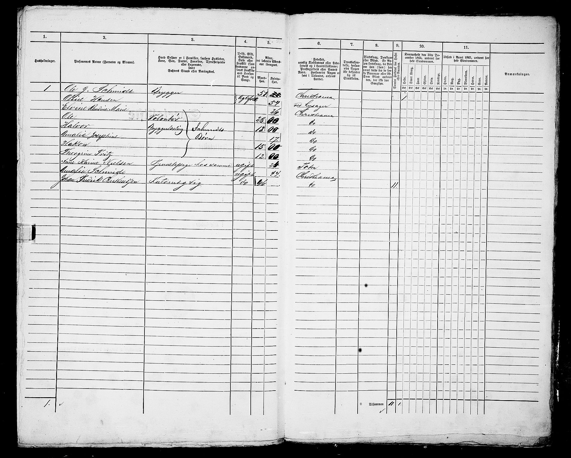 RA, 1865 census for Kristiania, 1865, p. 1099