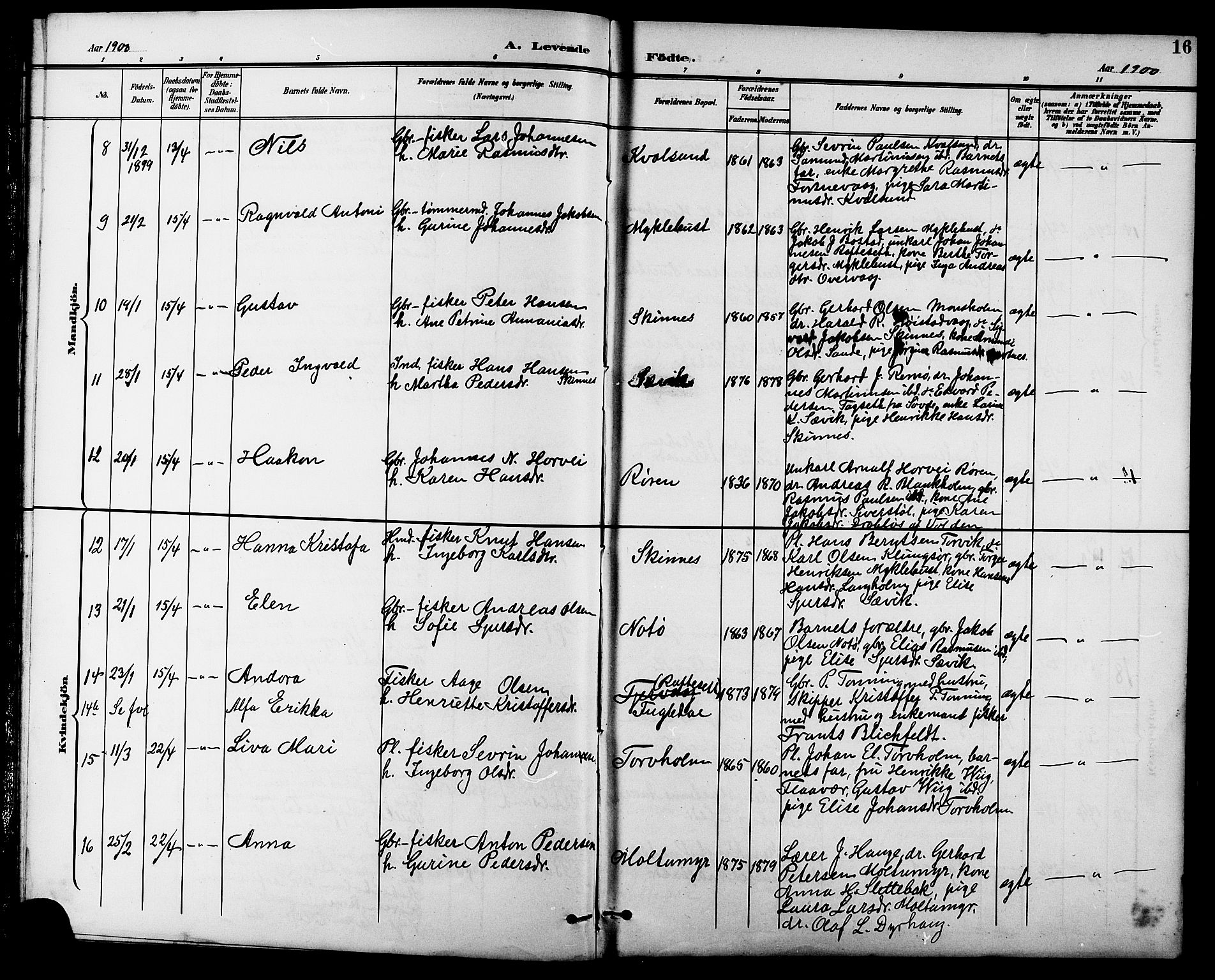 Ministerialprotokoller, klokkerbøker og fødselsregistre - Møre og Romsdal, AV/SAT-A-1454/507/L0082: Parish register (copy) no. 507C05, 1896-1914, p. 16