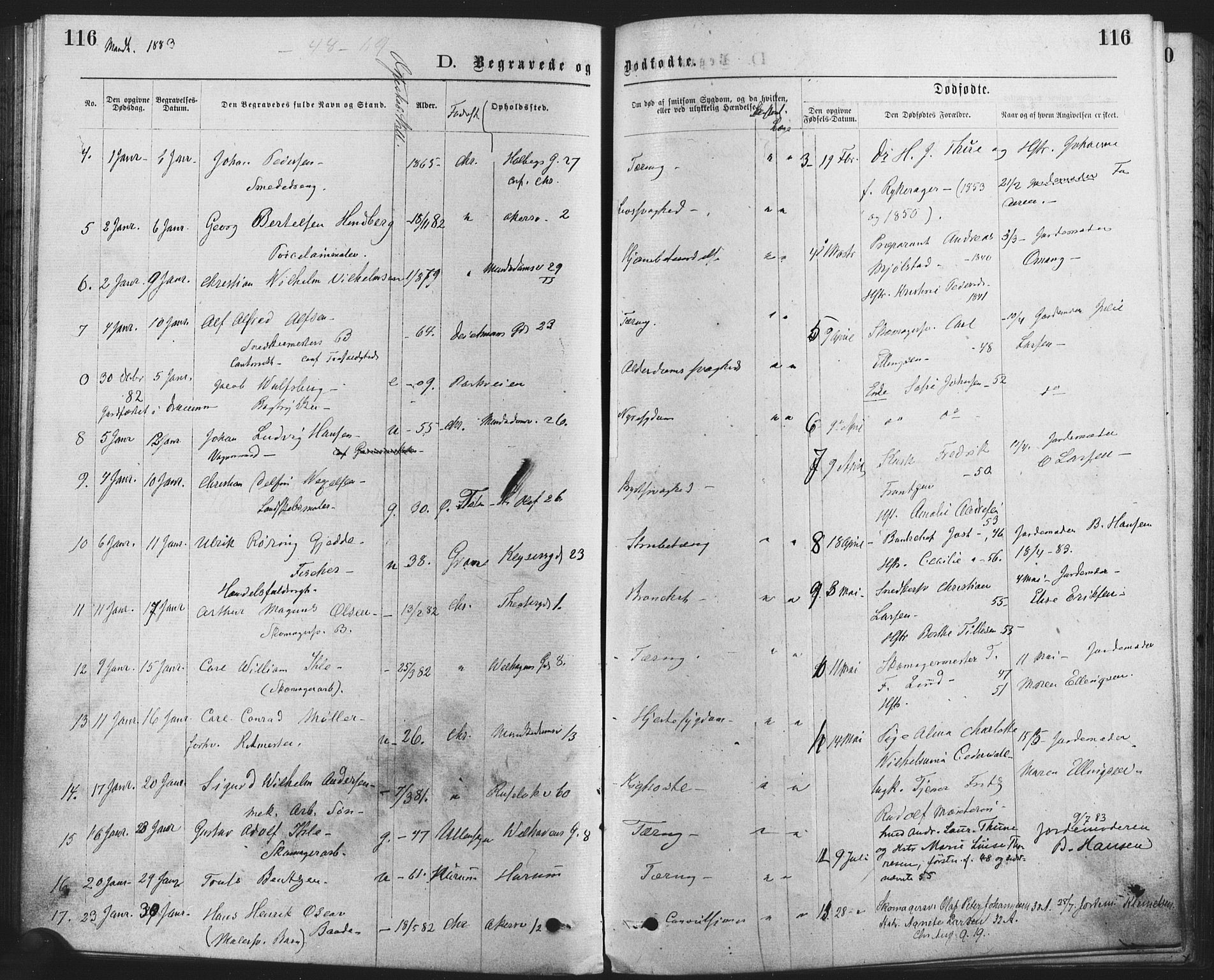 Trefoldighet prestekontor Kirkebøker, SAO/A-10882/F/Fd/L0002: Parish register (official) no. IV 2, 1877-1885, p. 116
