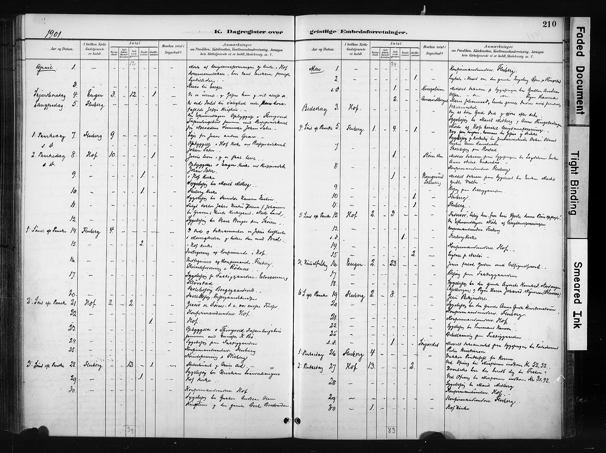 Søndre Land prestekontor, AV/SAH-PREST-122/K/L0004: Parish register (official) no. 4, 1895-1904, p. 210