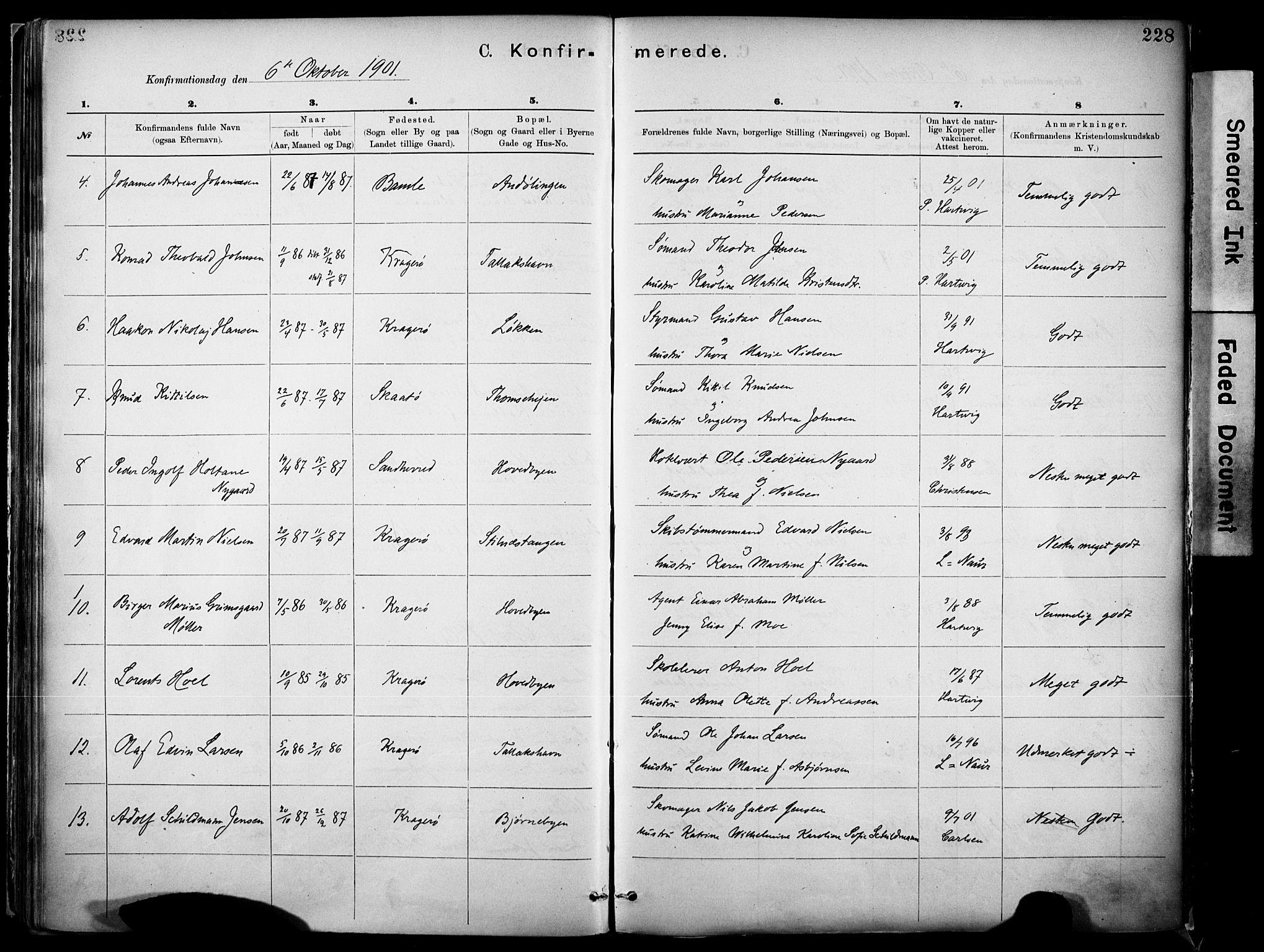 Kragerø kirkebøker, SAKO/A-278/F/Fa/L0012: Parish register (official) no. 12, 1880-1904, p. 228
