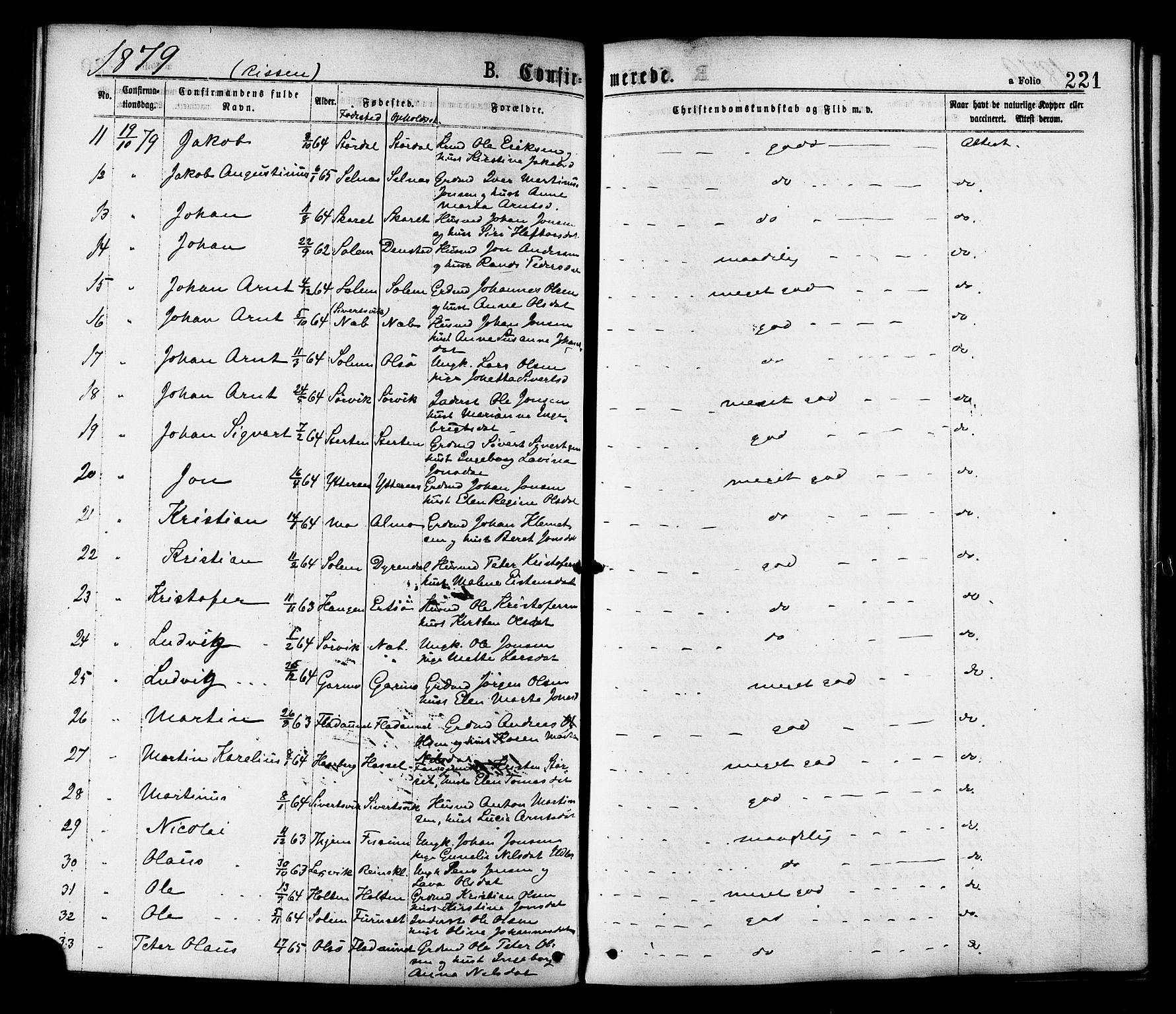 Ministerialprotokoller, klokkerbøker og fødselsregistre - Sør-Trøndelag, AV/SAT-A-1456/646/L0613: Parish register (official) no. 646A11, 1870-1884, p. 221