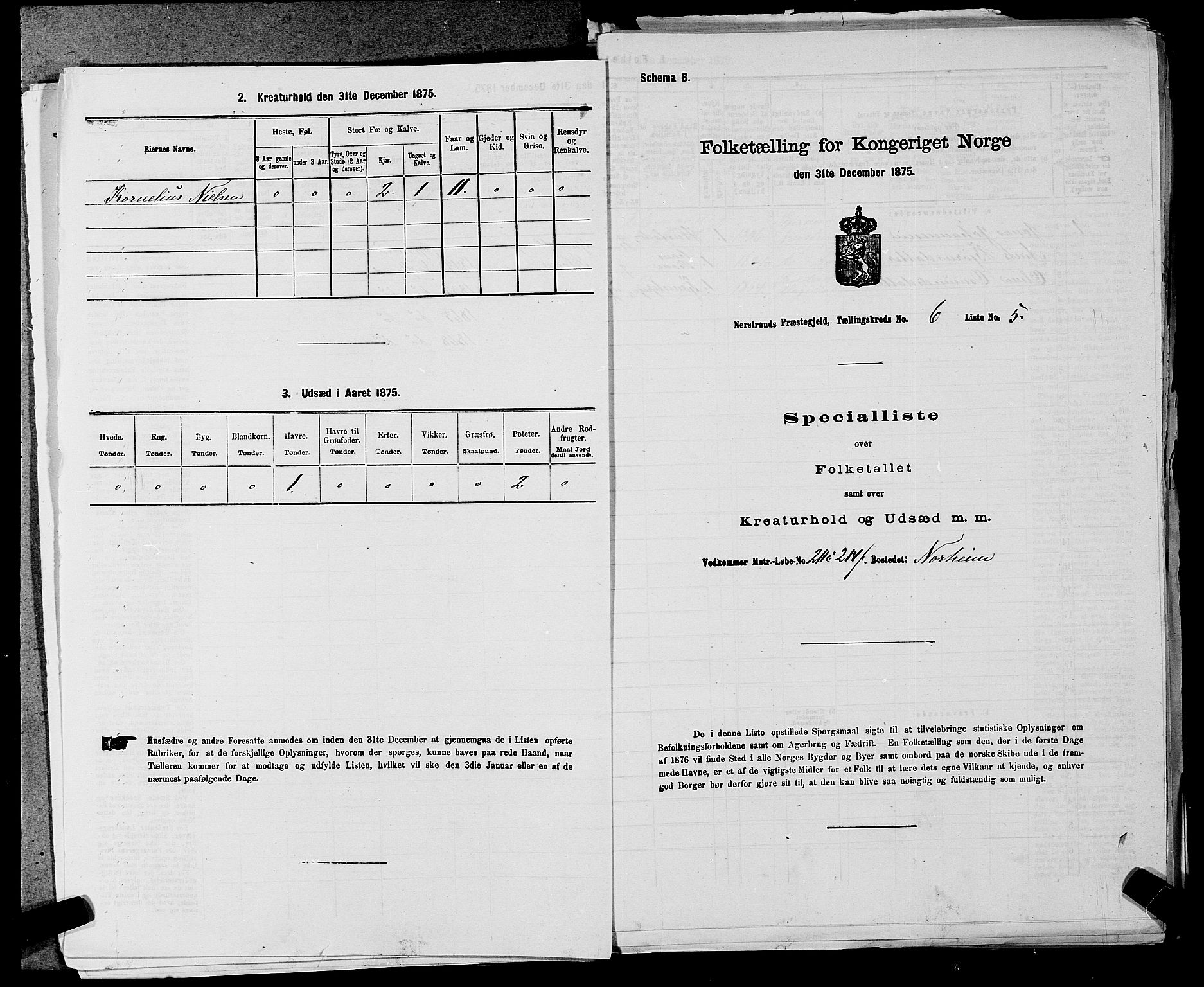 SAST, 1875 census for 1139P Nedstrand, 1875, p. 647