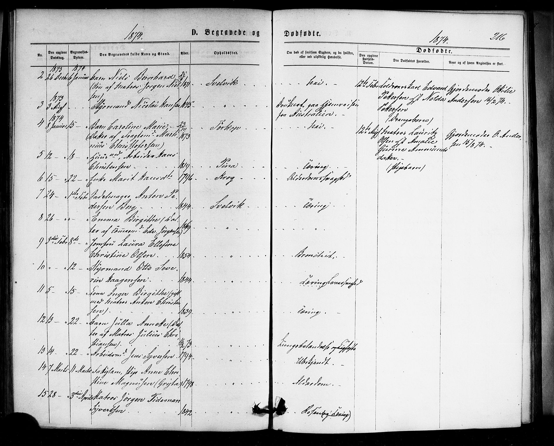 Strømm kirkebøker, AV/SAKO-A-322/F/Fa/L0002: Parish register (official) no. I 2, 1870-1877, p. 216