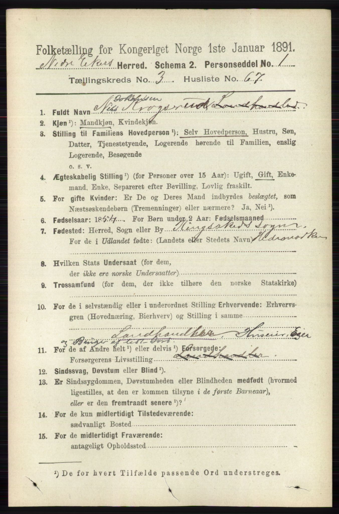 RA, 1891 census for 0625 Nedre Eiker, 1891, p. 1546
