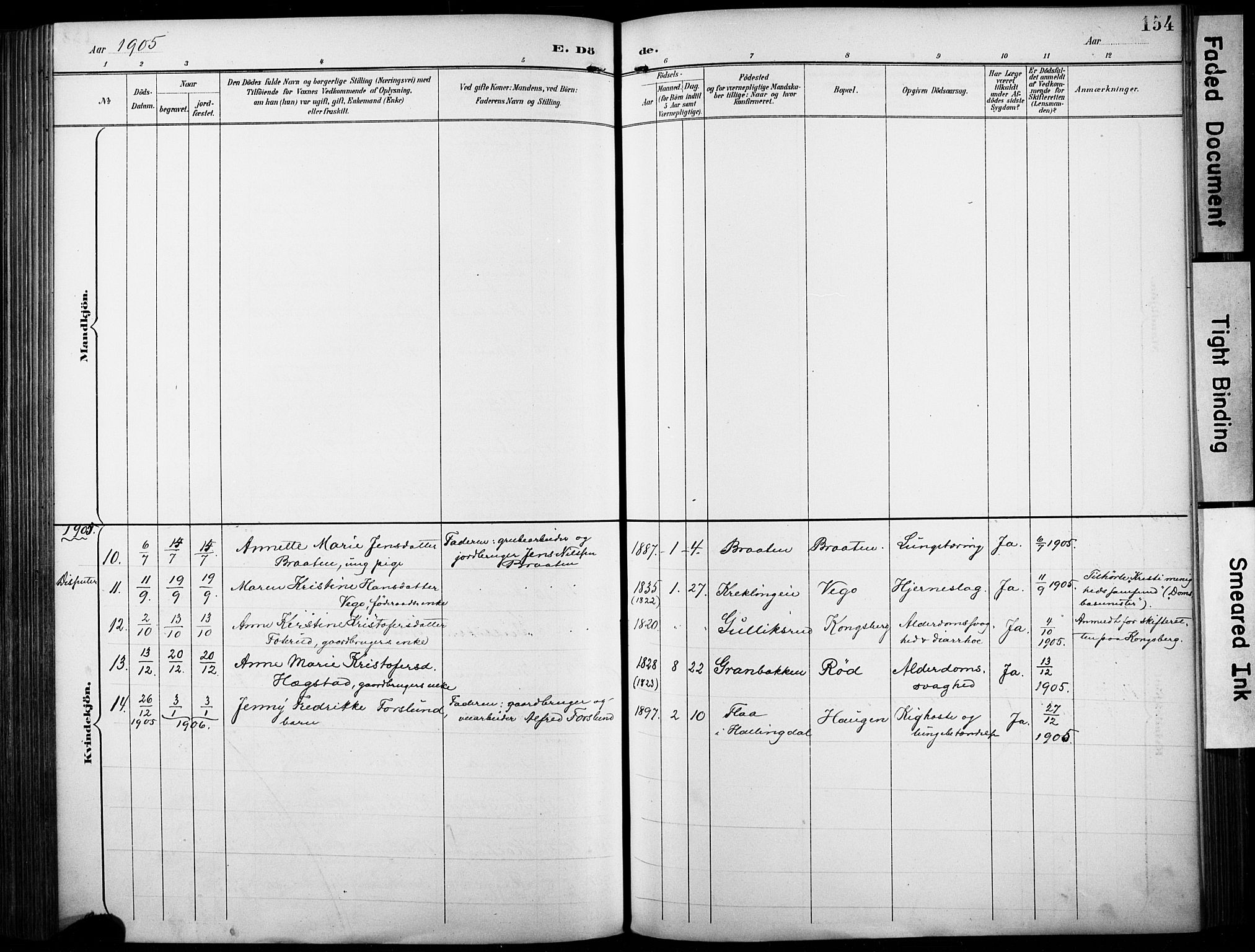 Fiskum kirkebøker, AV/SAKO-A-15/F/Fa/L0003: Parish register (official) no. 3, 1890-1905, p. 154