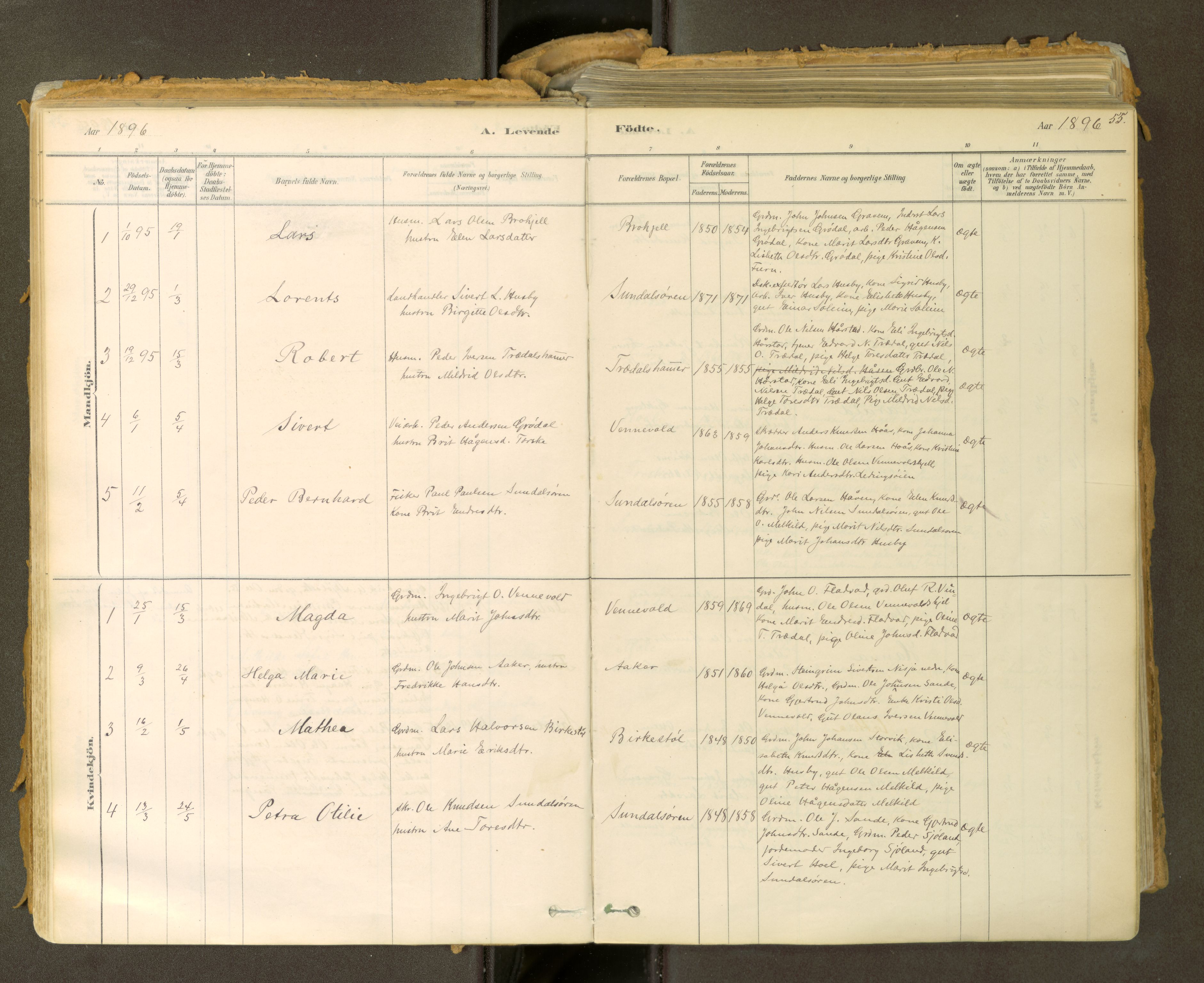 Sunndal sokneprestkontor, SAT/A-1085/1/I/I1/I1a: Parish register (official) no. 2, 1877-1914, p. 55