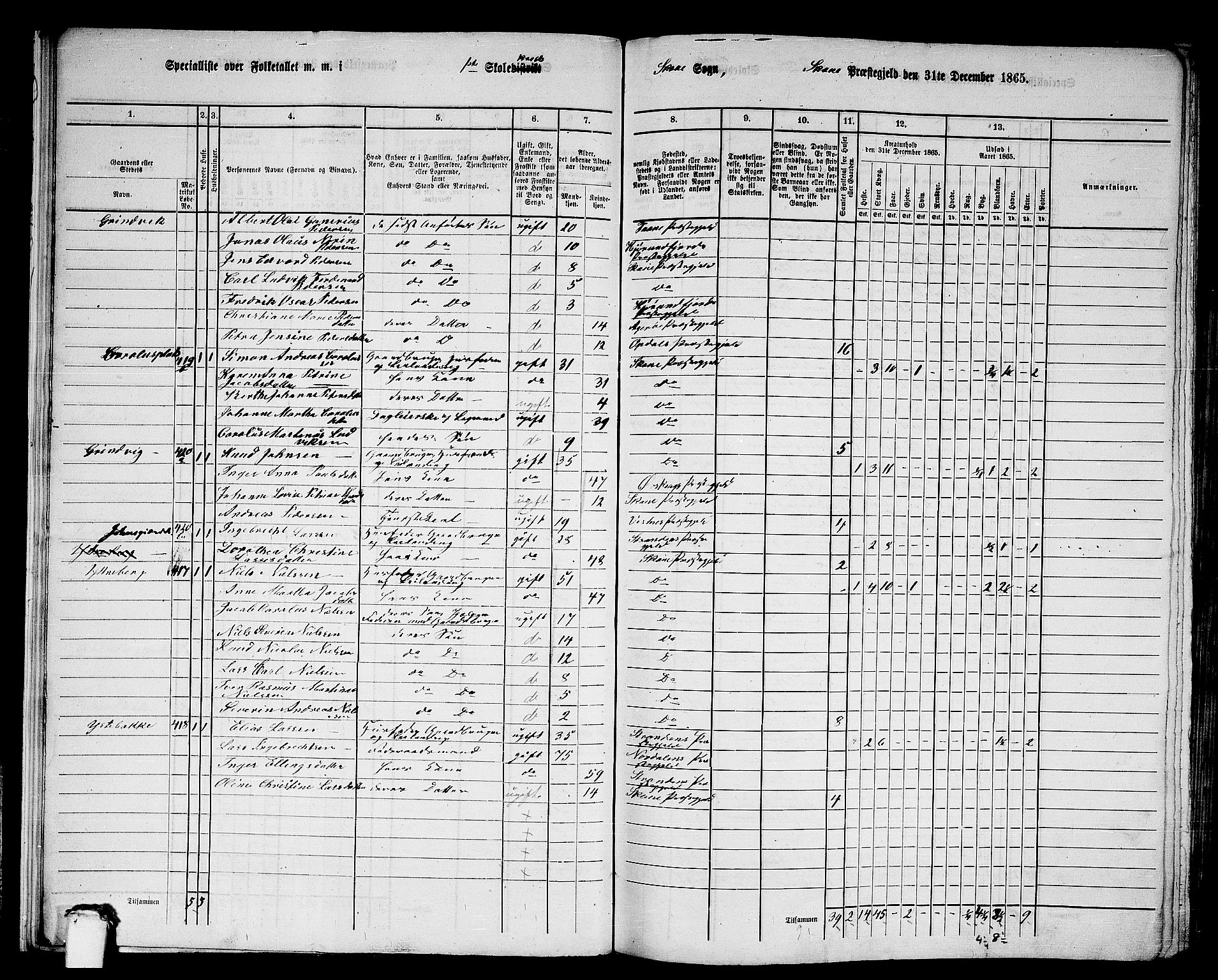 RA, 1865 census for Skodje, 1865, p. 22