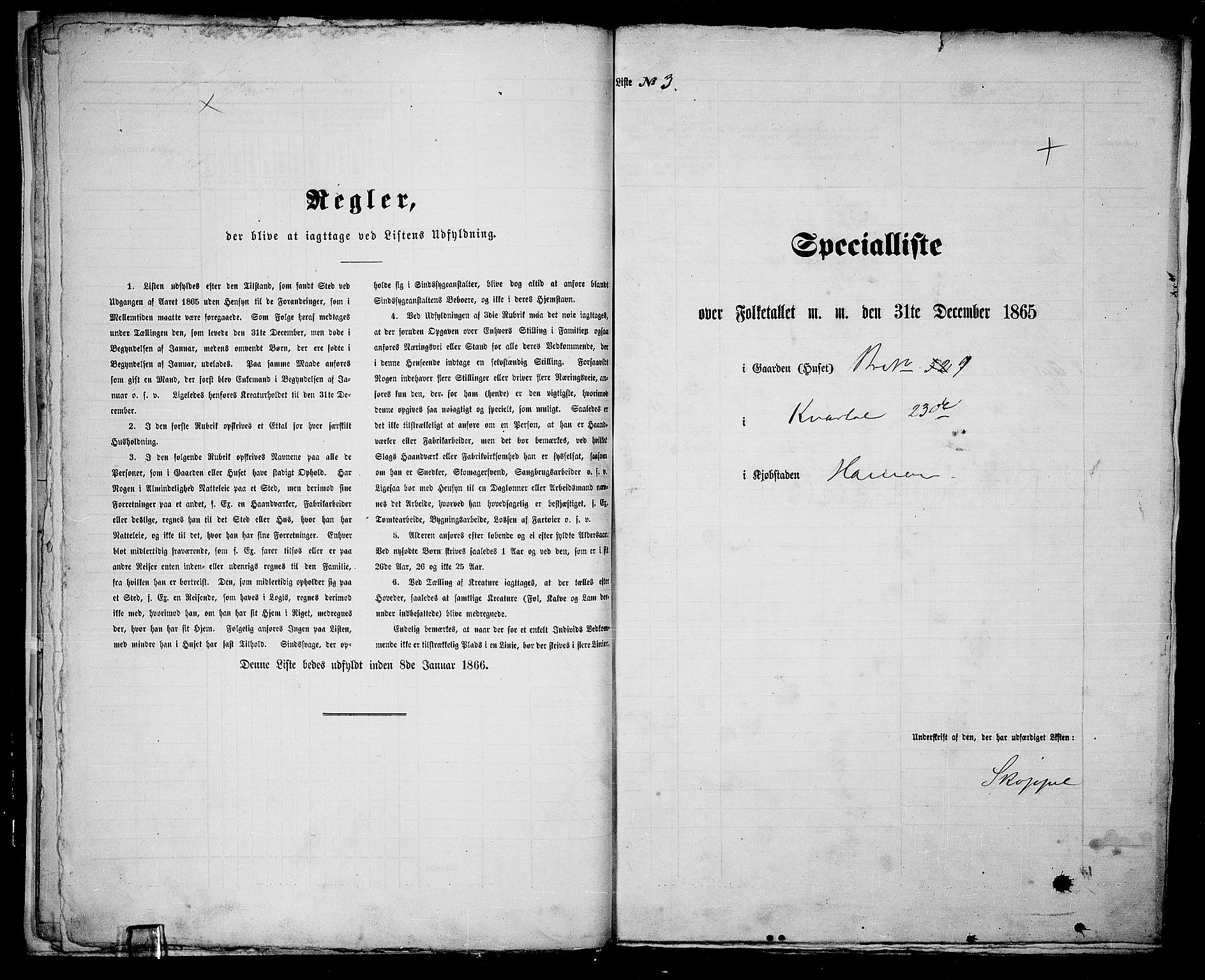 RA, 1865 census for Vang/Hamar, 1865, p. 13