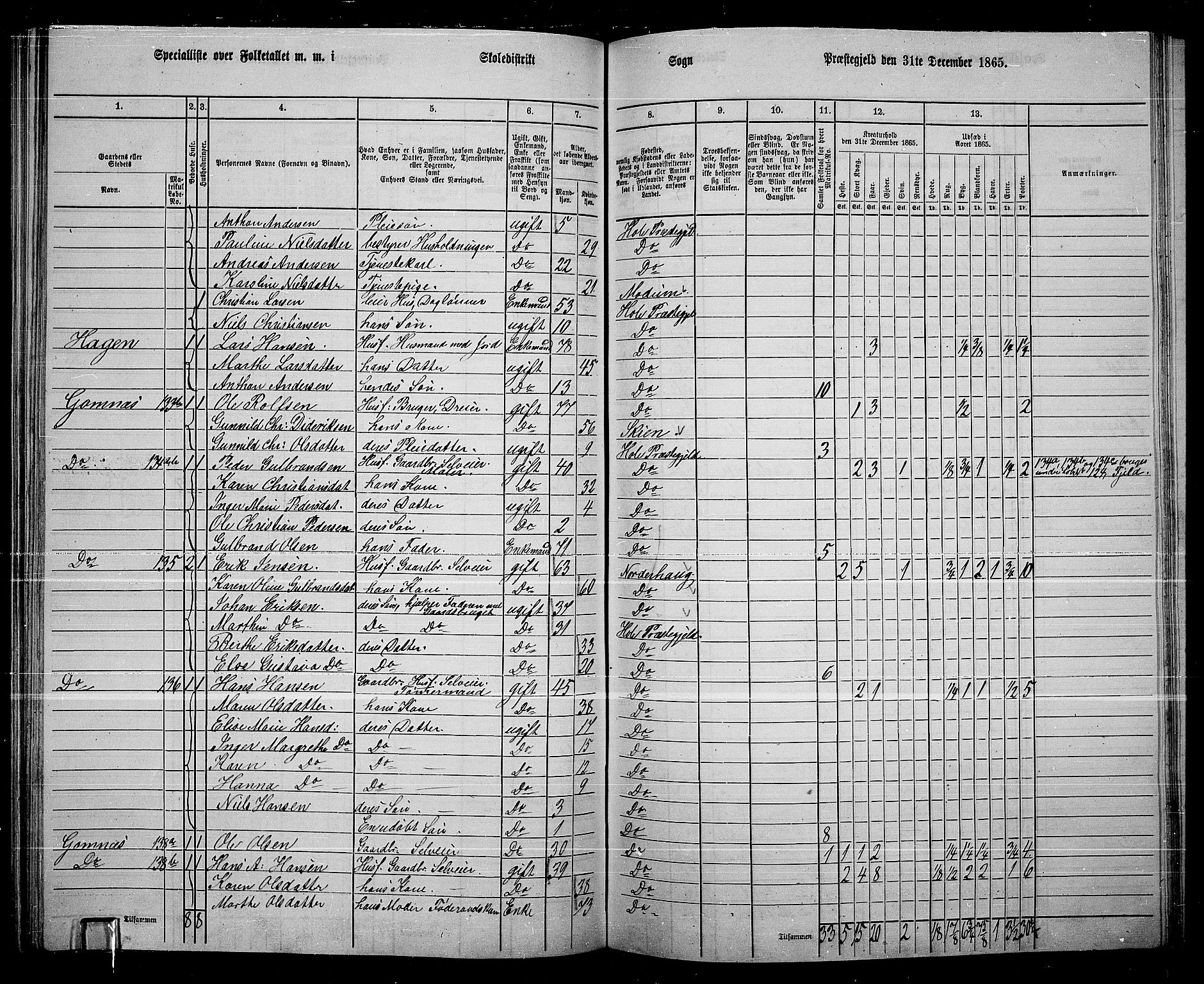 RA, 1865 census for Hole, 1865, p. 102