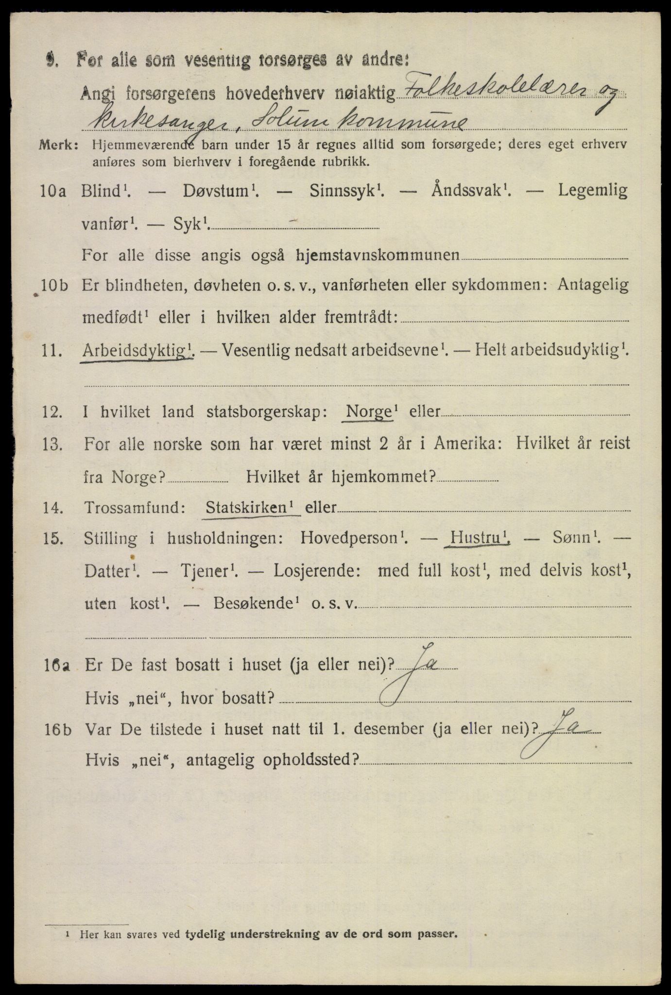 SAKO, 1920 census for Solum, 1920, p. 15695