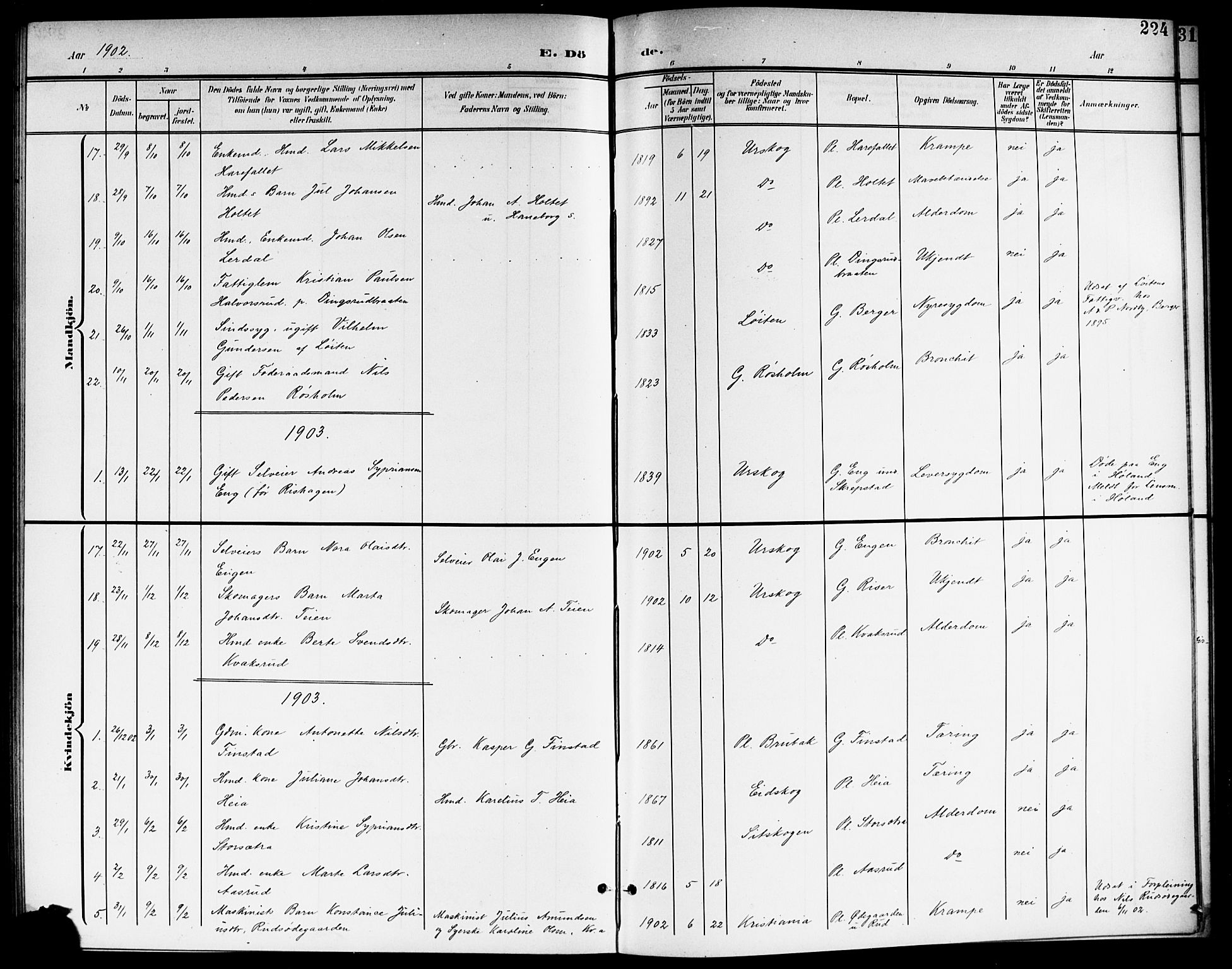 Aurskog prestekontor Kirkebøker, AV/SAO-A-10304a/G/Ga/L0004: Parish register (copy) no. I 4, 1901-1921, p. 224