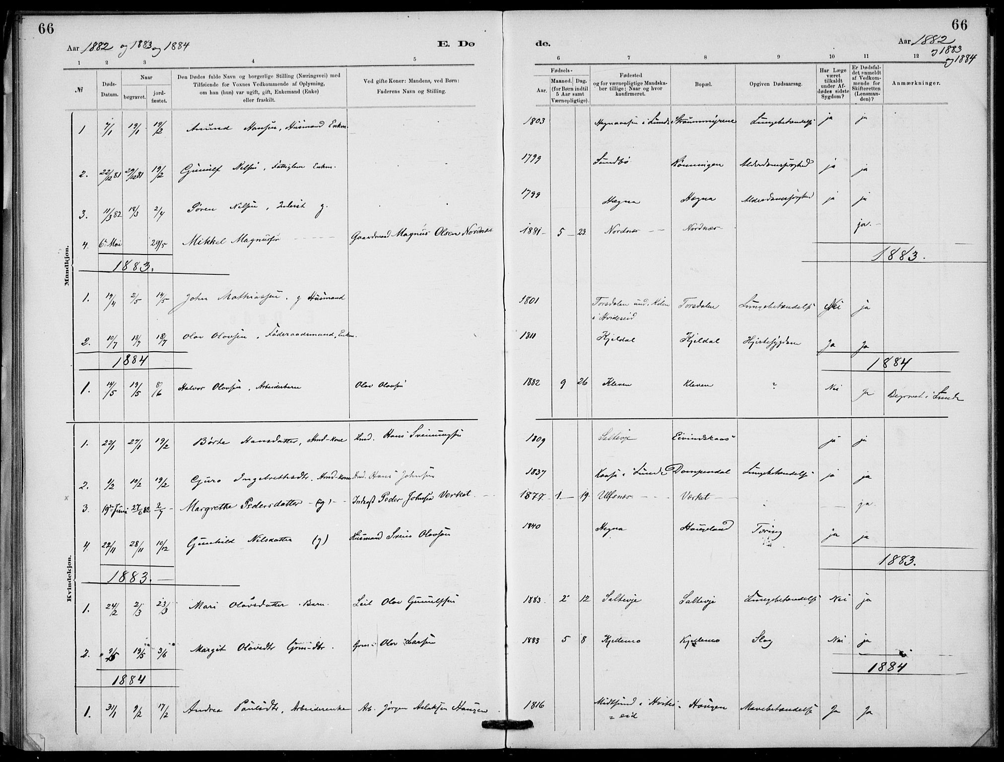 Lunde kirkebøker, SAKO/A-282/F/Fb/L0003: Parish register (official) no. II 3, 1882-1891, p. 66