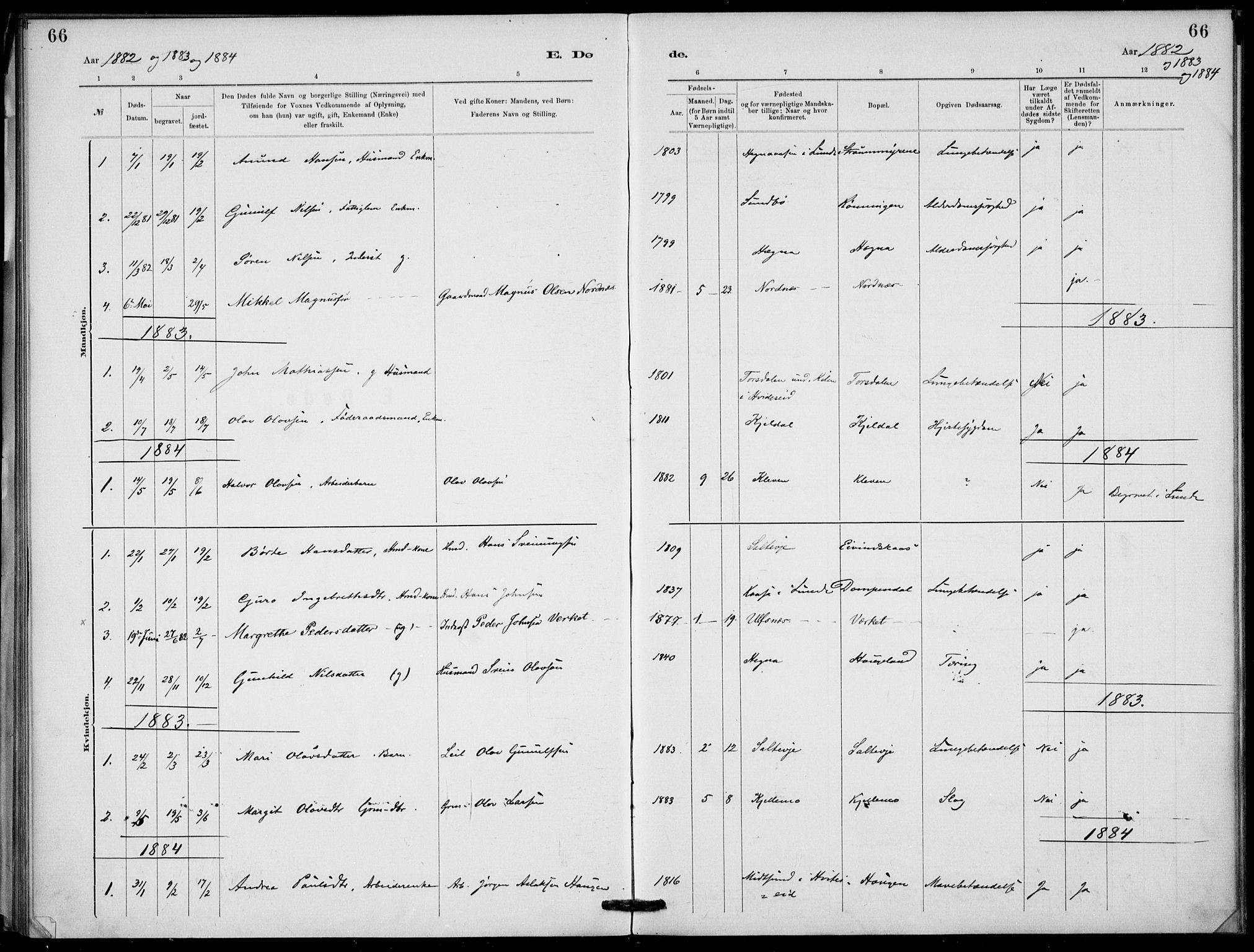 Lunde kirkebøker, AV/SAKO-A-282/F/Fb/L0003: Parish register (official) no. II 3, 1882-1891, p. 66
