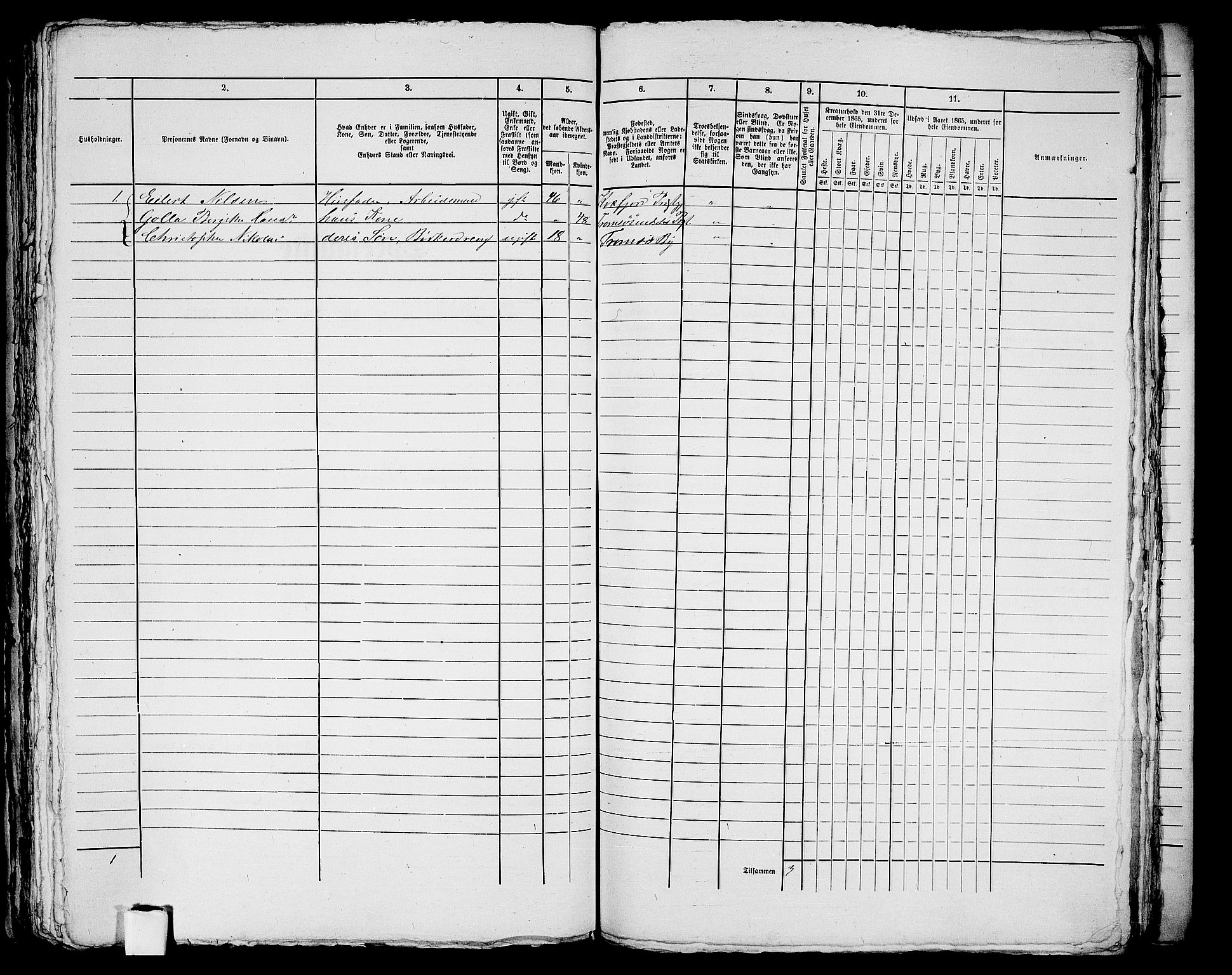 RA, 1865 census for Tromsø, 1865, p. 706